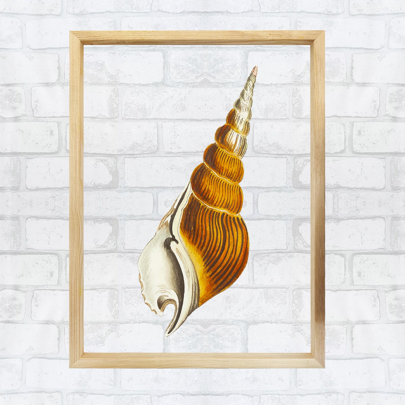 Quadro Decorativo Multicolor com Moldura de Madeira - Impressão Digital UV em Vidro 32x42cm