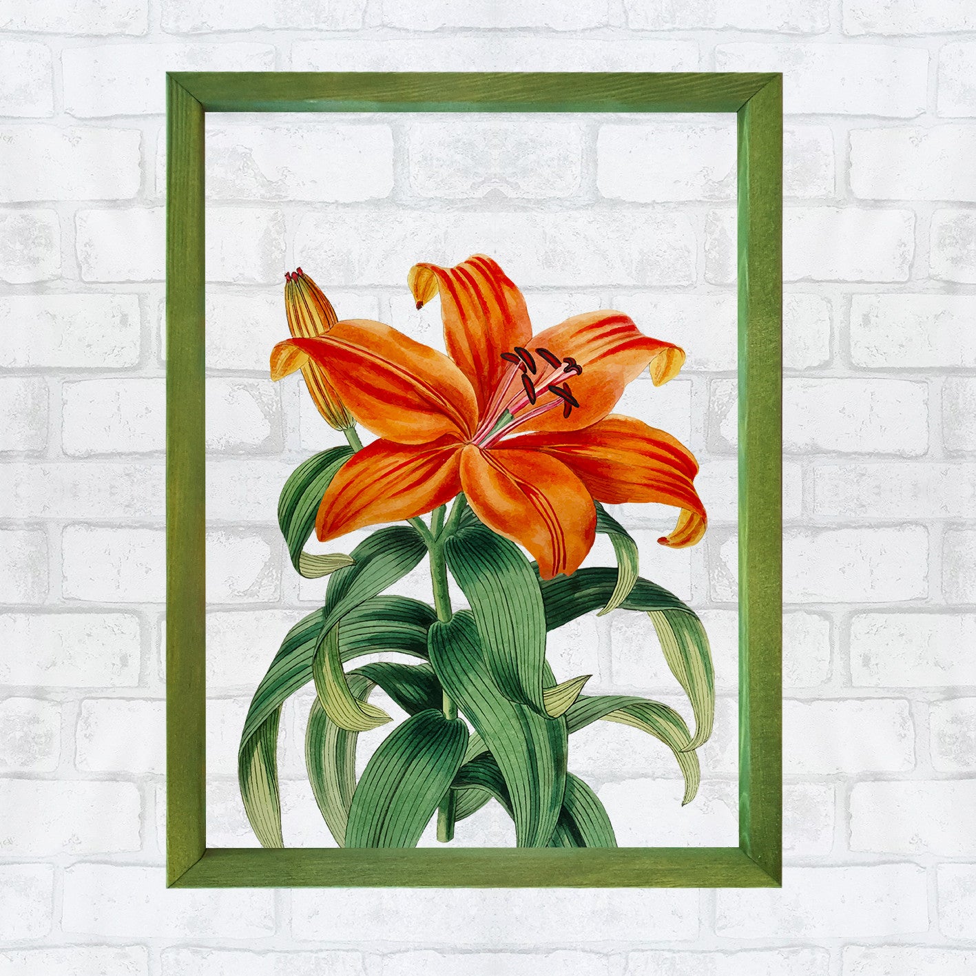 Quadro Decorativo Multicolor com Moldura de Madeira - Impressão Digital UV em Vidro 32x42cm