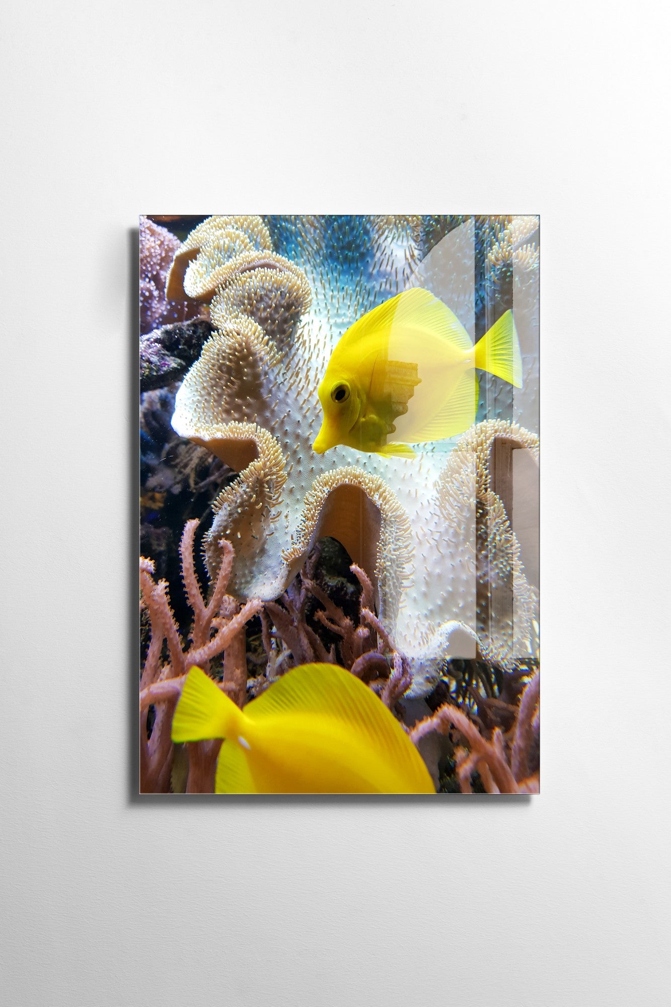 Quadro Decorativo em Vidro Temperado Multicolor 50x70cm - Arte Moderna para Transformar o Seu Espaço