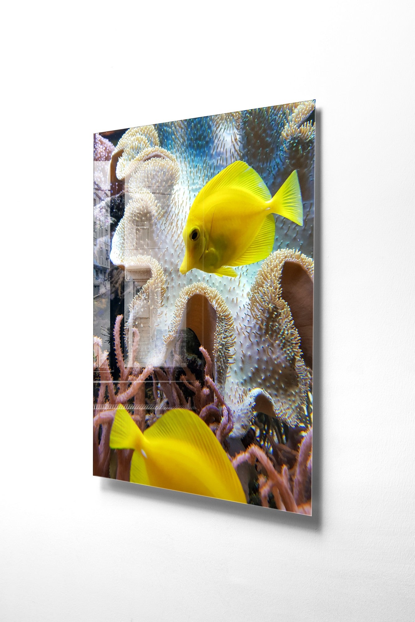 Quadro Decorativo em Vidro Temperado Multicolor 30x45cm - Arte Moderna para Decoração de Interiores