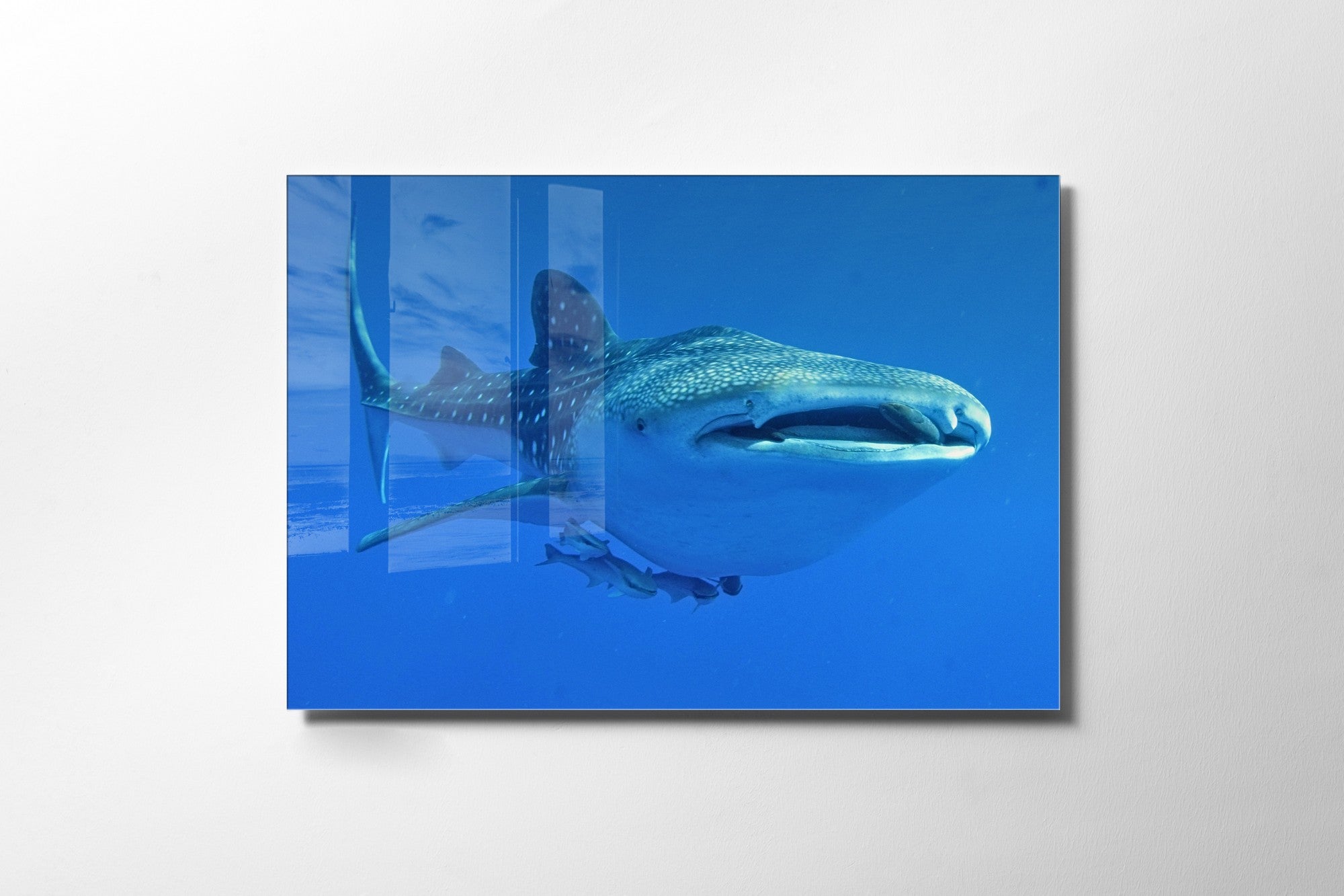 Quadro Decorativo em Vidro Temperado Multicolor 70x100cm - Arte Moderna para Transformar o Seu Espaço