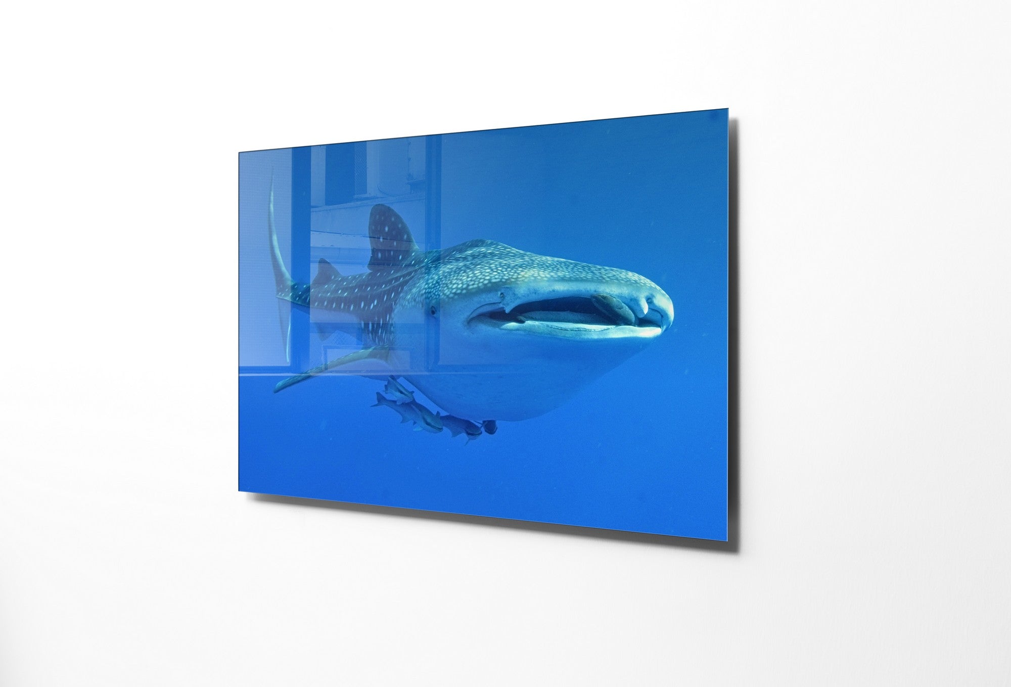 Quadro Decorativo em Vidro Temperado Multicolor 70x100cm - Arte Moderna para Transformar o Seu Espaço