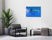 Quadro Decorativo em Vidro Temperado Multicolor 50x70cm - Arte Moderna para Transformar o Seu Espaço