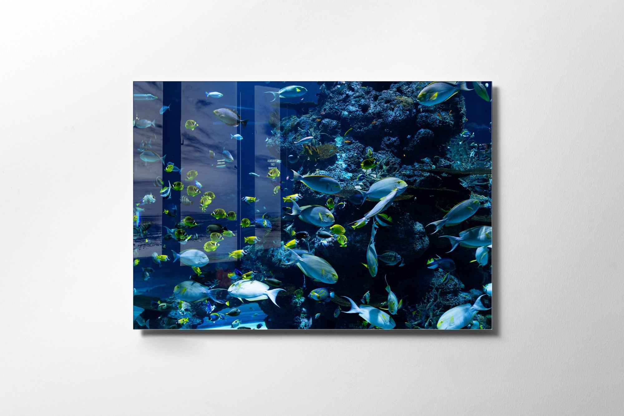 Quadro Decorativo em Vidro Temperado Multicolor 45x65cm - Arte Moderna para Transformar o Seu Espaço