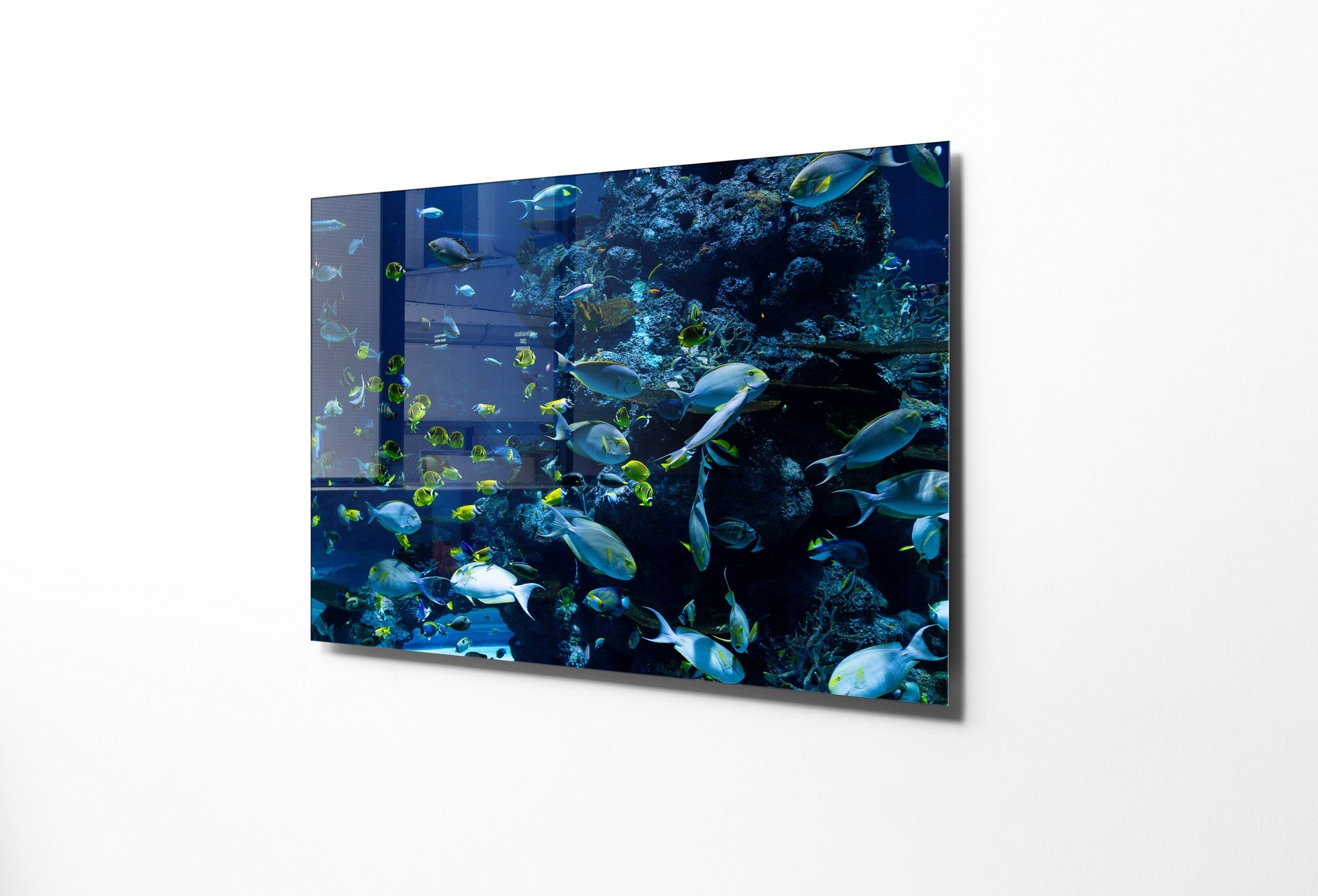 Quadro Decorativo em Vidro Temperado Multicolor 30x45cm - Arte Moderna para Decoração de Interiores