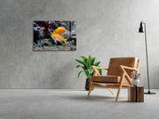 Quadro Decorativo em Vidro Temperado Multicolor 70x100cm - Arte Moderna para Transformar o Seu Espaço