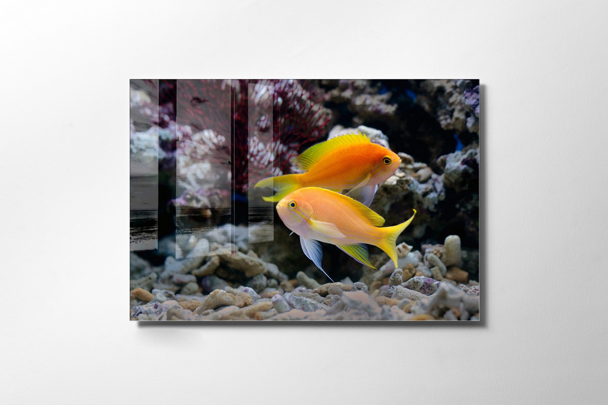 Quadro Decorativo em Vidro Temperado Multicolor 70x100cm - Arte Moderna para Transformar o Seu Espaço