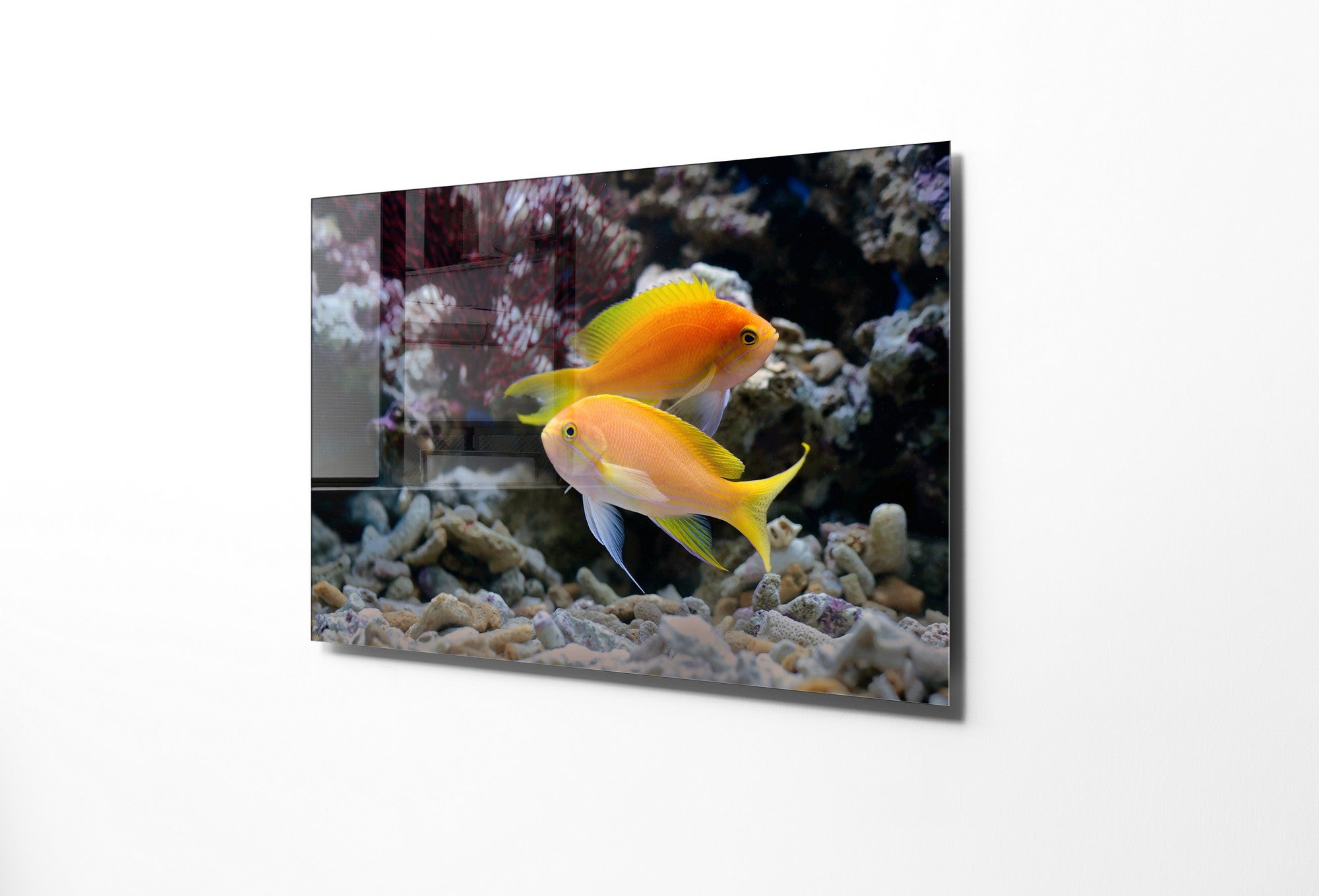 Quadro Decorativo em Vidro Temperado Multicolor 70x100cm - Arte Moderna para Transformar o Seu Espaço