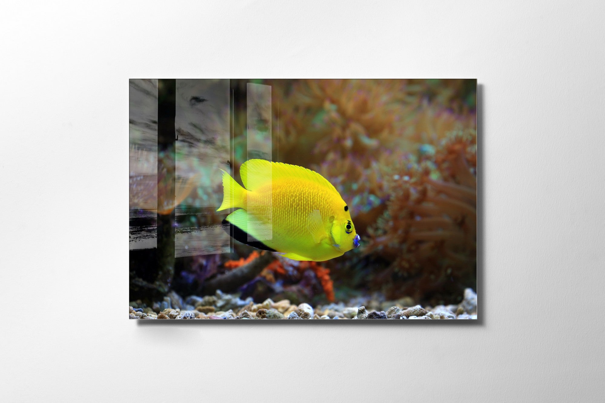 Quadro Decorativo em Vidro Temperado Multicolor 70x100cm - Arte Moderna para Transformar o Seu Espaço