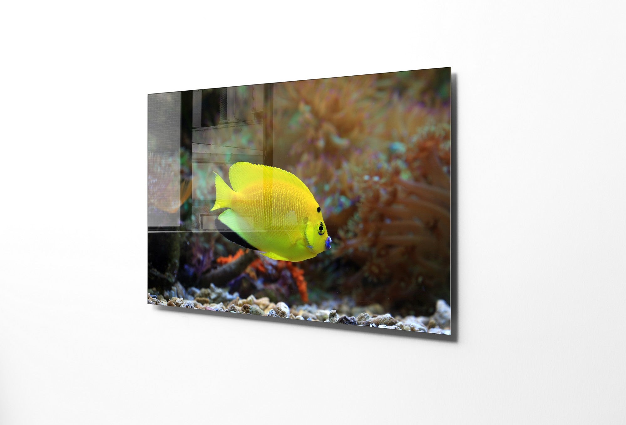 Quadro Decorativo em Vidro Temperado Multicolor 45x65cm - Arte Moderna para Transformar o Seu Espaço