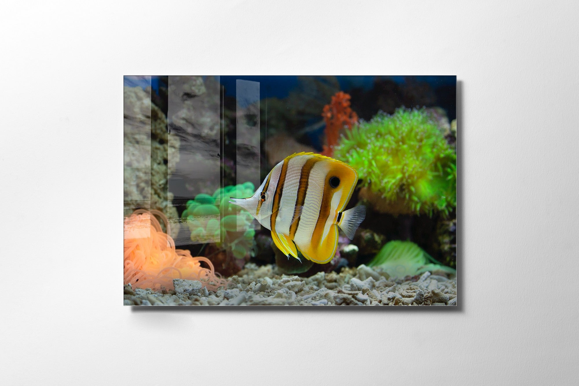 Quadro Decorativo em Vidro Temperado Multicolor 45x65cm - Arte Moderna para Transformar o Seu Espaço