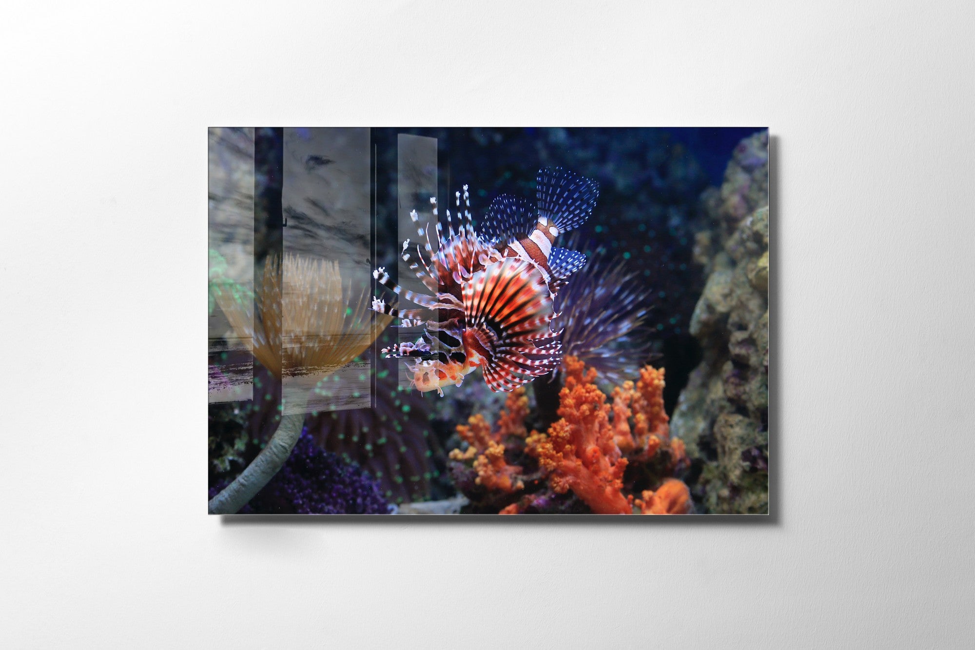 Quadro Decorativo em Vidro Temperado Multicolor 30x45cm - Arte Moderna para Decoração de Interiores