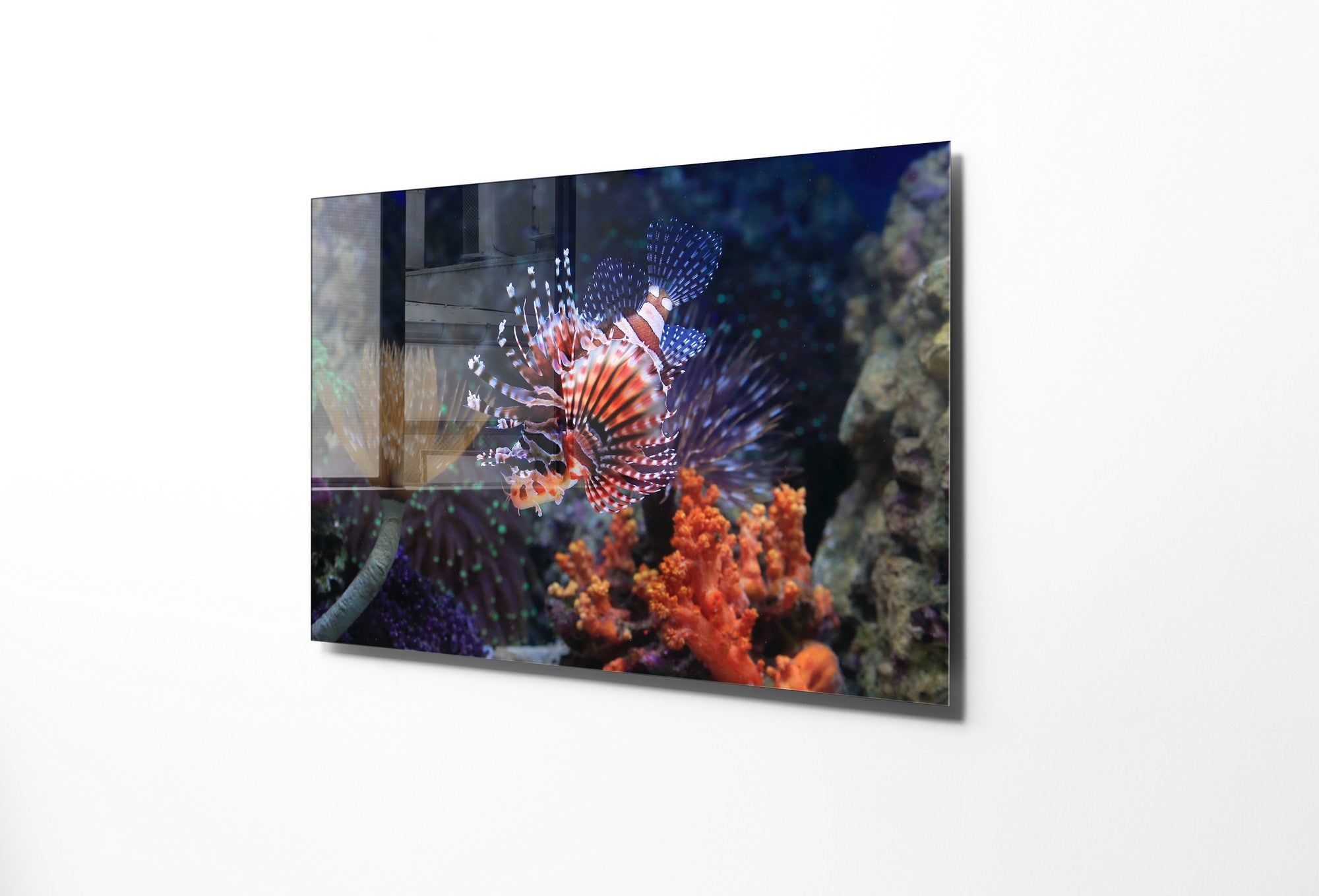 Quadro Decorativo em Vidro Temperado Multicolor 30x45cm - Arte Moderna para Decoração de Interiores