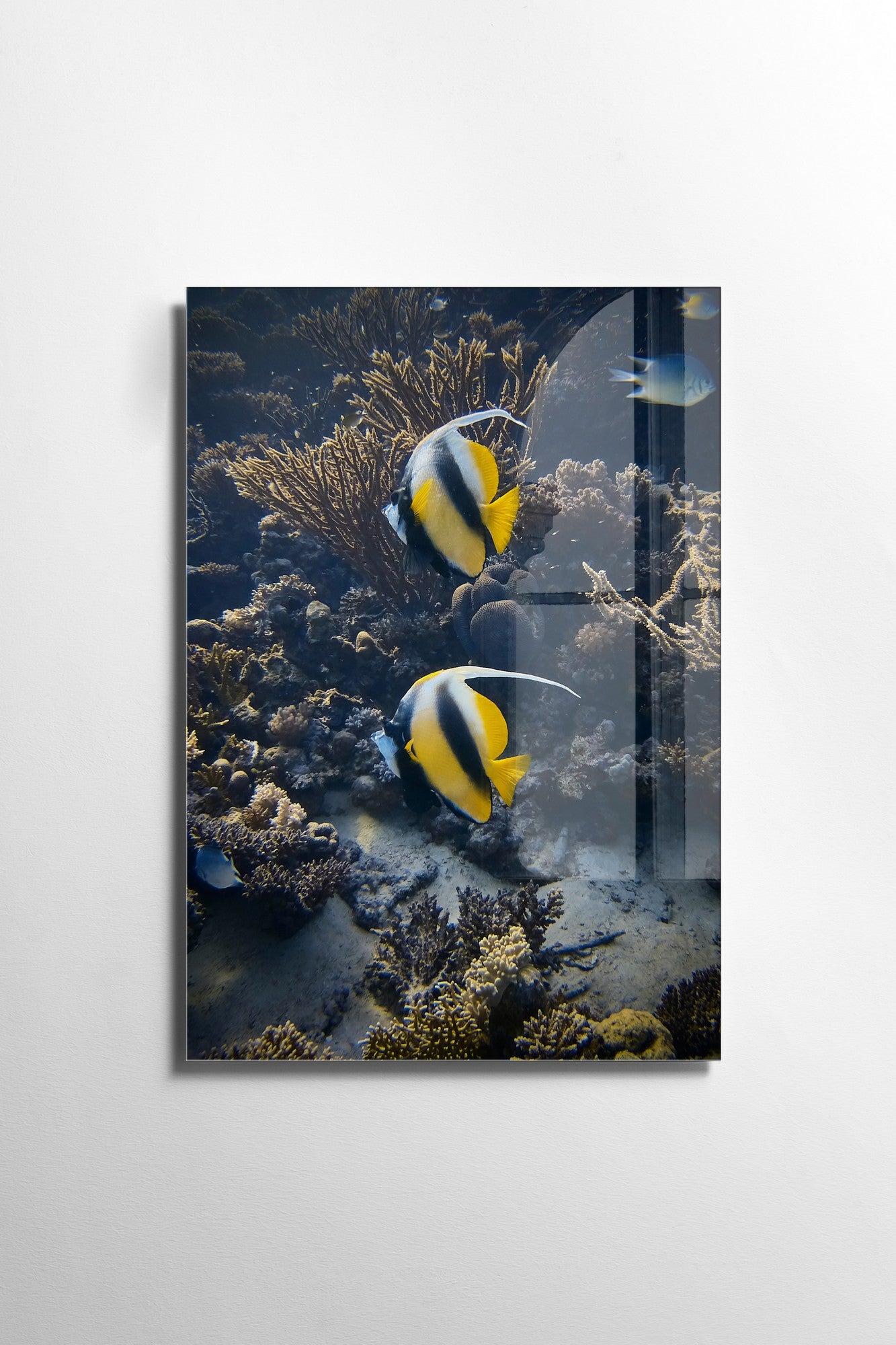 Quadro Decorativo em Vidro Temperado Multicolor 45x65cm - Arte Moderna para Transformar o Seu Espaço