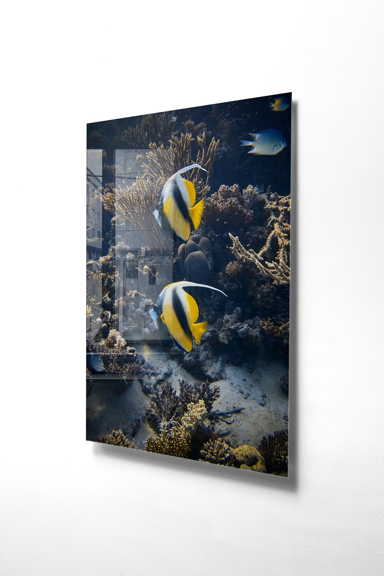 Quadro Decorativo em Vidro Temperado Multicolor 30x45cm - Arte Moderna para Decoração de Interiores