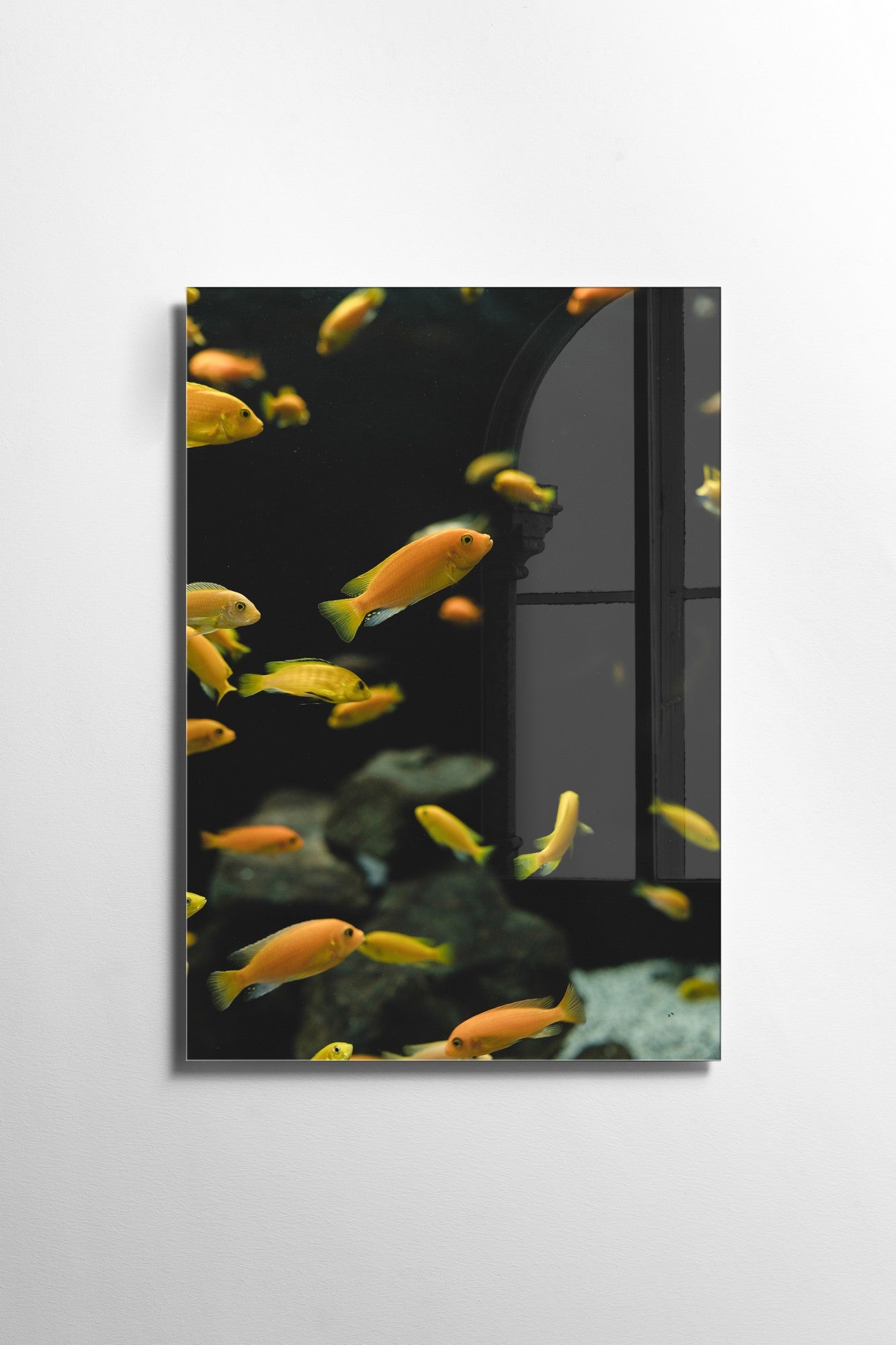 Quadro Decorativo em Vidro Temperado Multicolor 50x70cm - Arte Moderna para Transformar o Seu Espaço