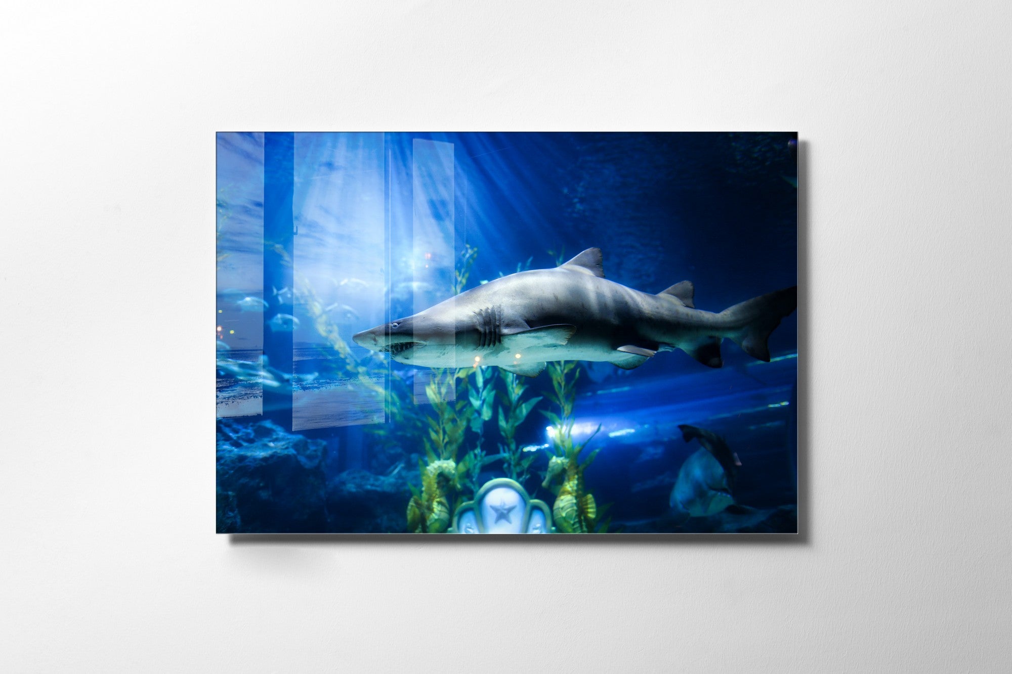 Quadro Decorativo em Vidro Temperado Multicolor 70x100cm - Arte Moderna para Transformar o Seu Espaço