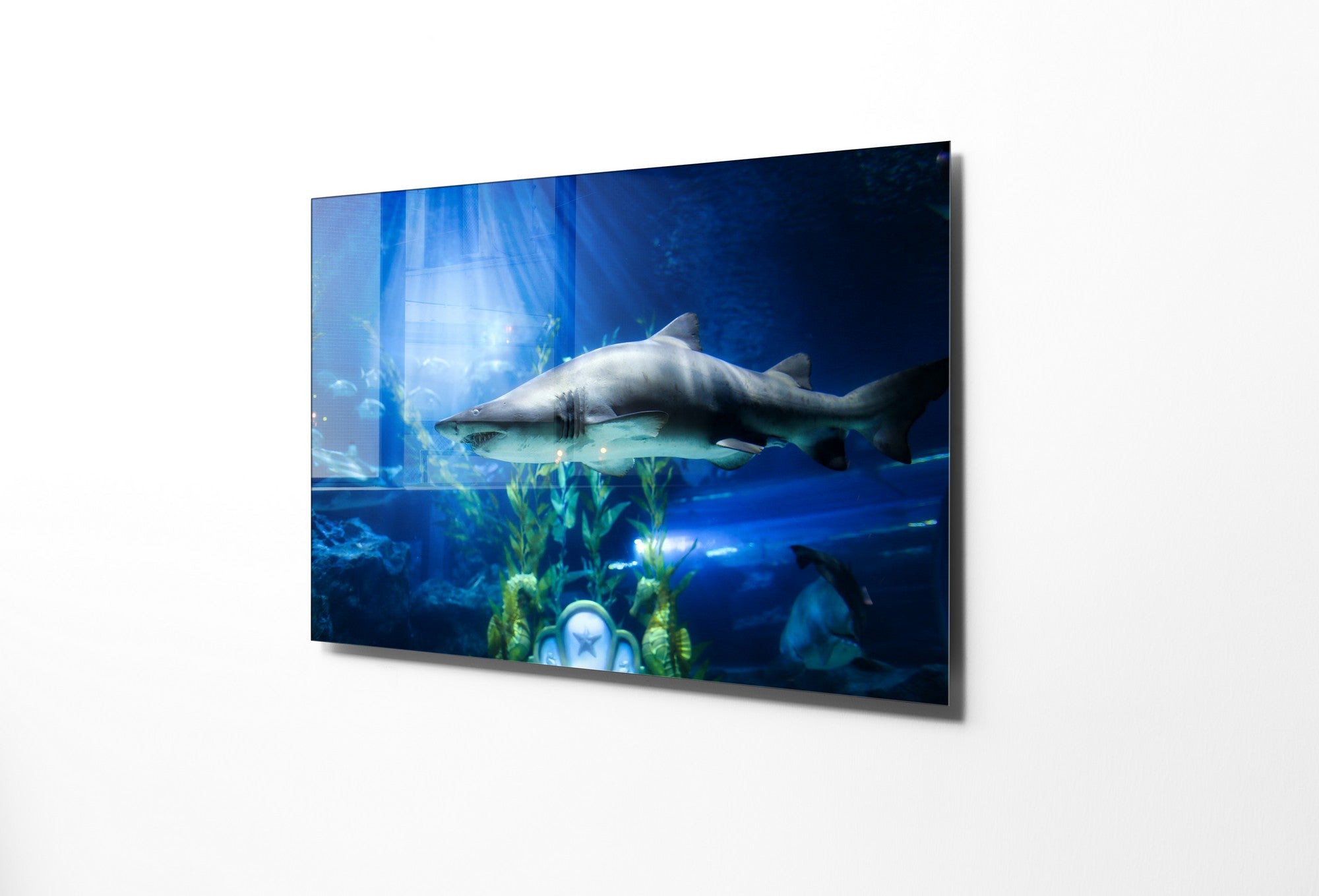 Quadro Decorativo em Vidro Temperado Multicolor 45x65cm - Arte Moderna para Transformar o Seu Espaço