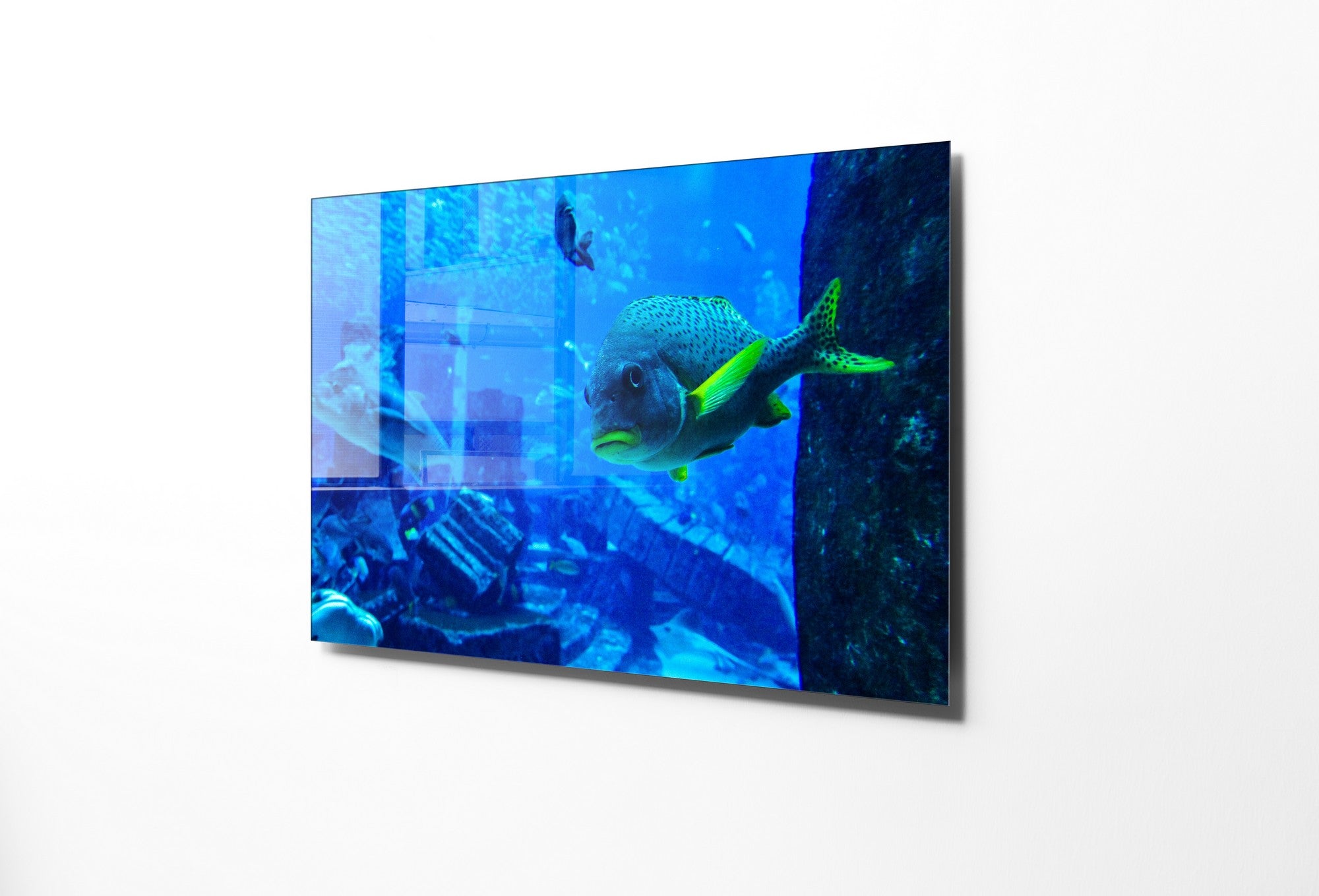 Quadro Decorativo em Vidro Temperado Multicolor 45x65cm - Arte Moderna para Transformar o Seu Espaço