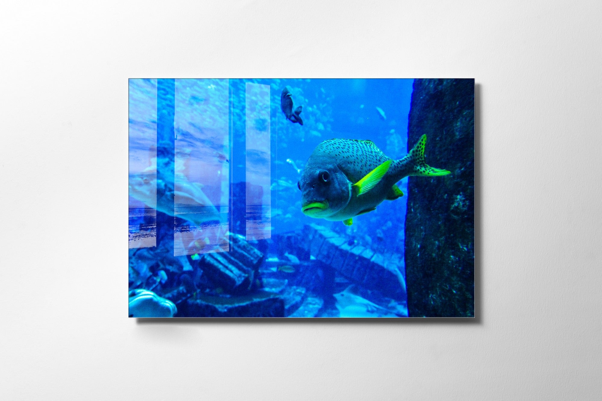 Quadro Decorativo em Vidro Temperado Multicolor 30x45cm - Arte Moderna para Decoração de Interiores