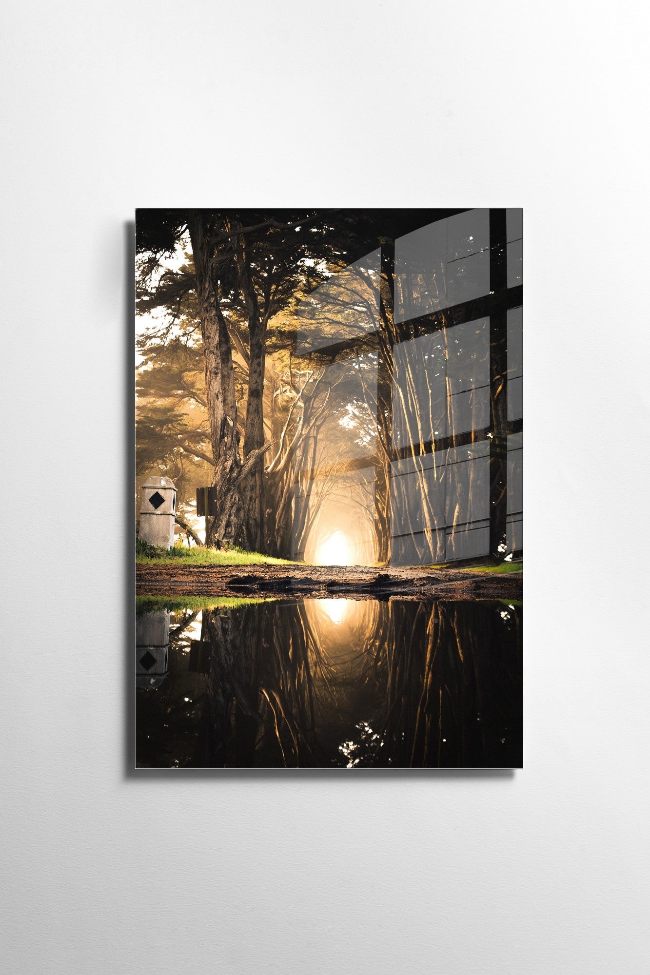 981GLS1237Tribo Home