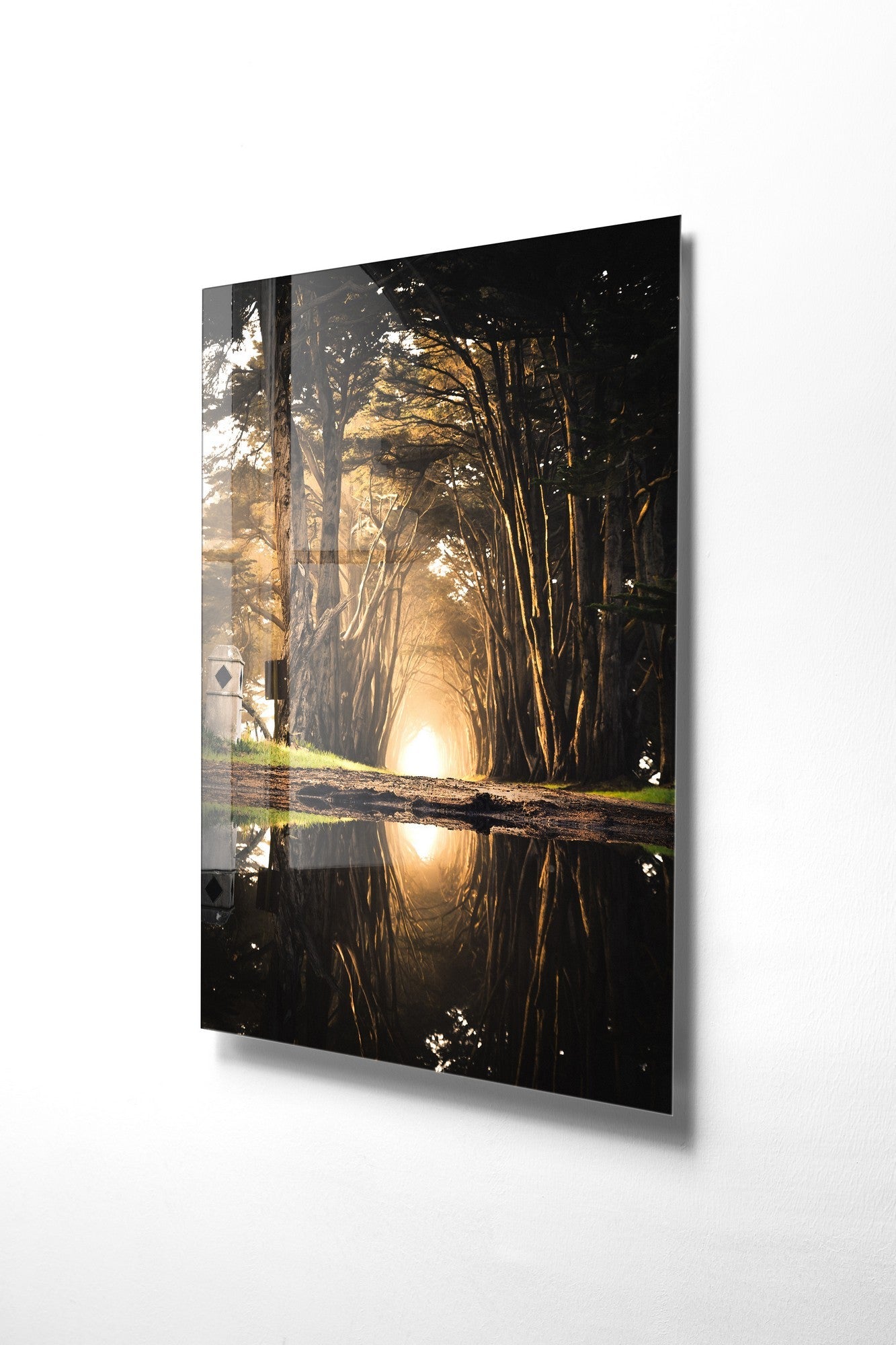 981GLS1239Tribo Home