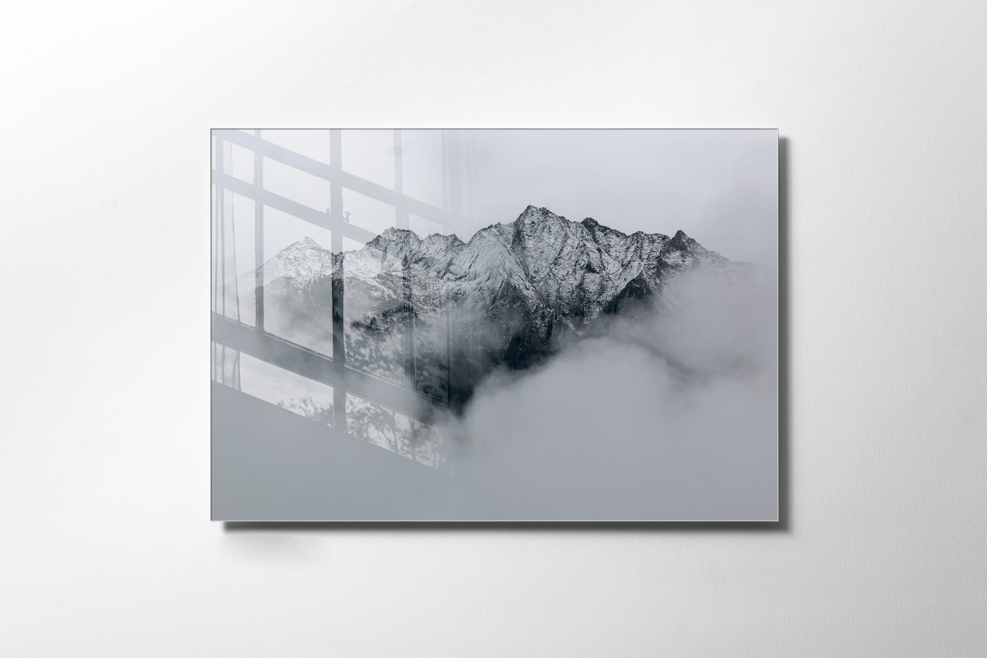 981GLS1243Tribo Home