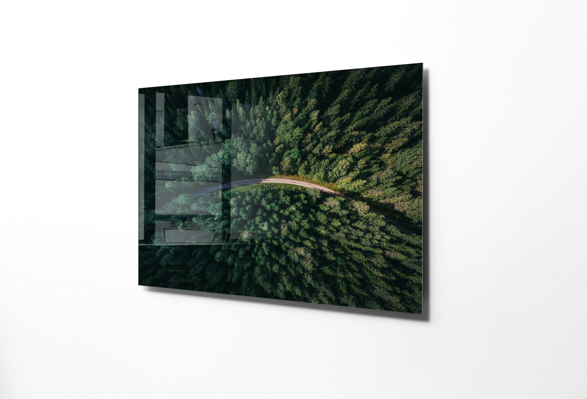 981GLS1244Tribo Home