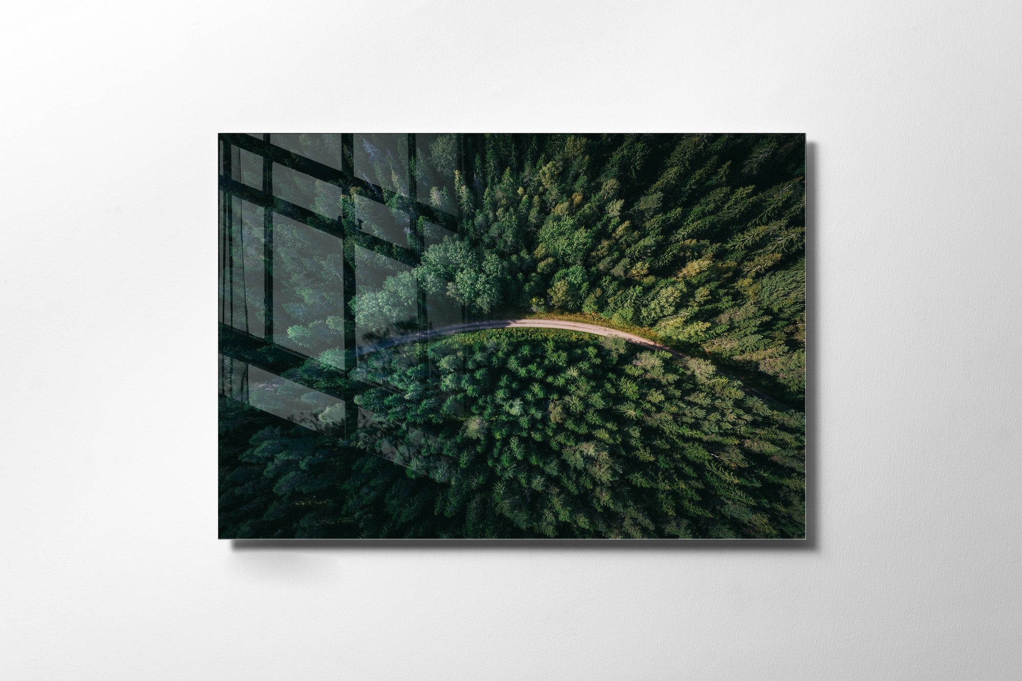 981GLS1245Tribo Home