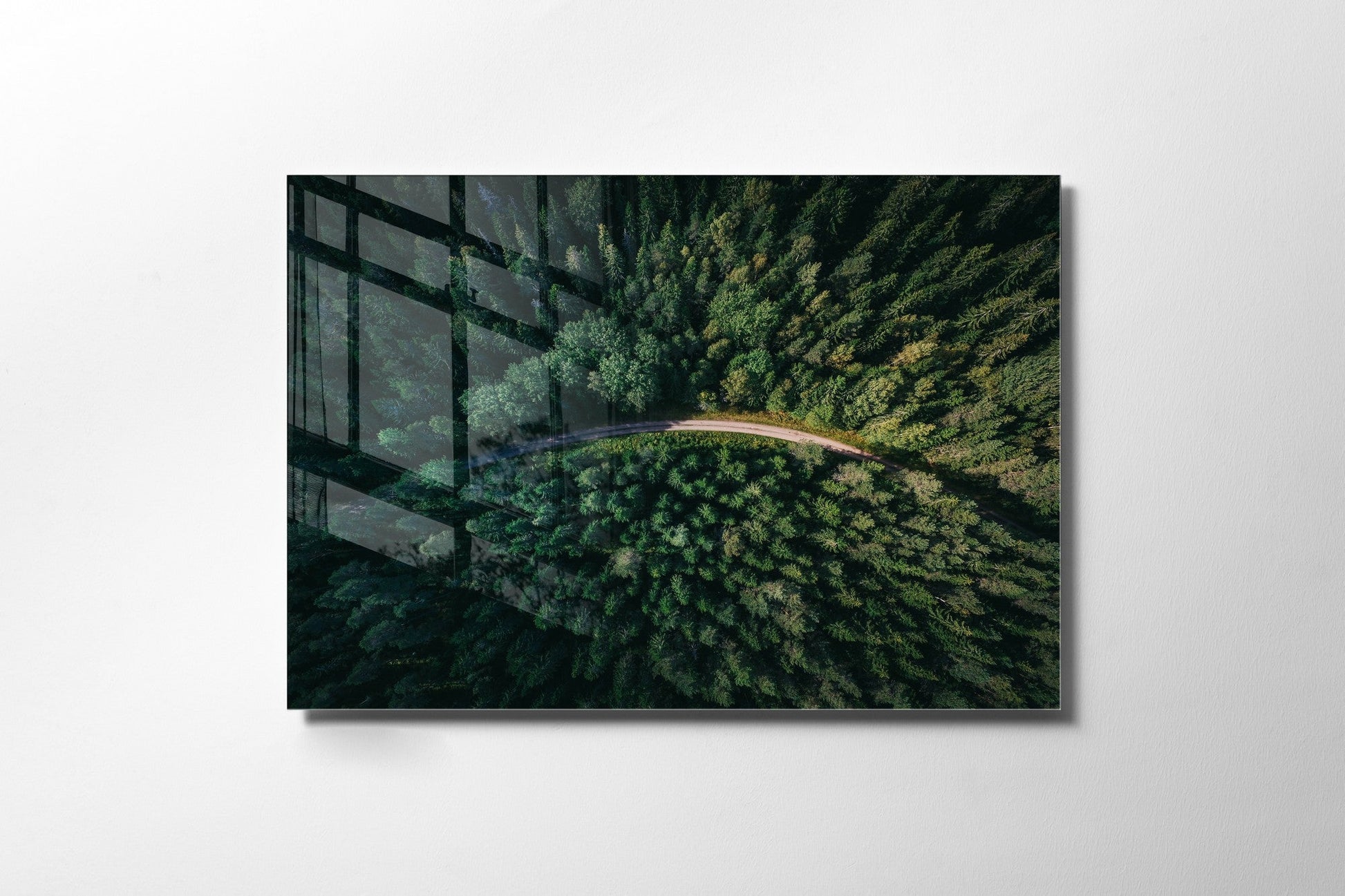 981GLS1247Tribo Home