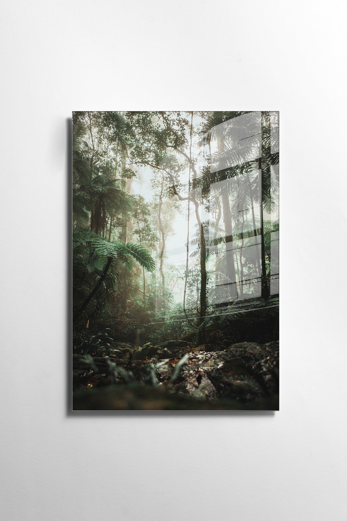 981GLS1248Tribo Home