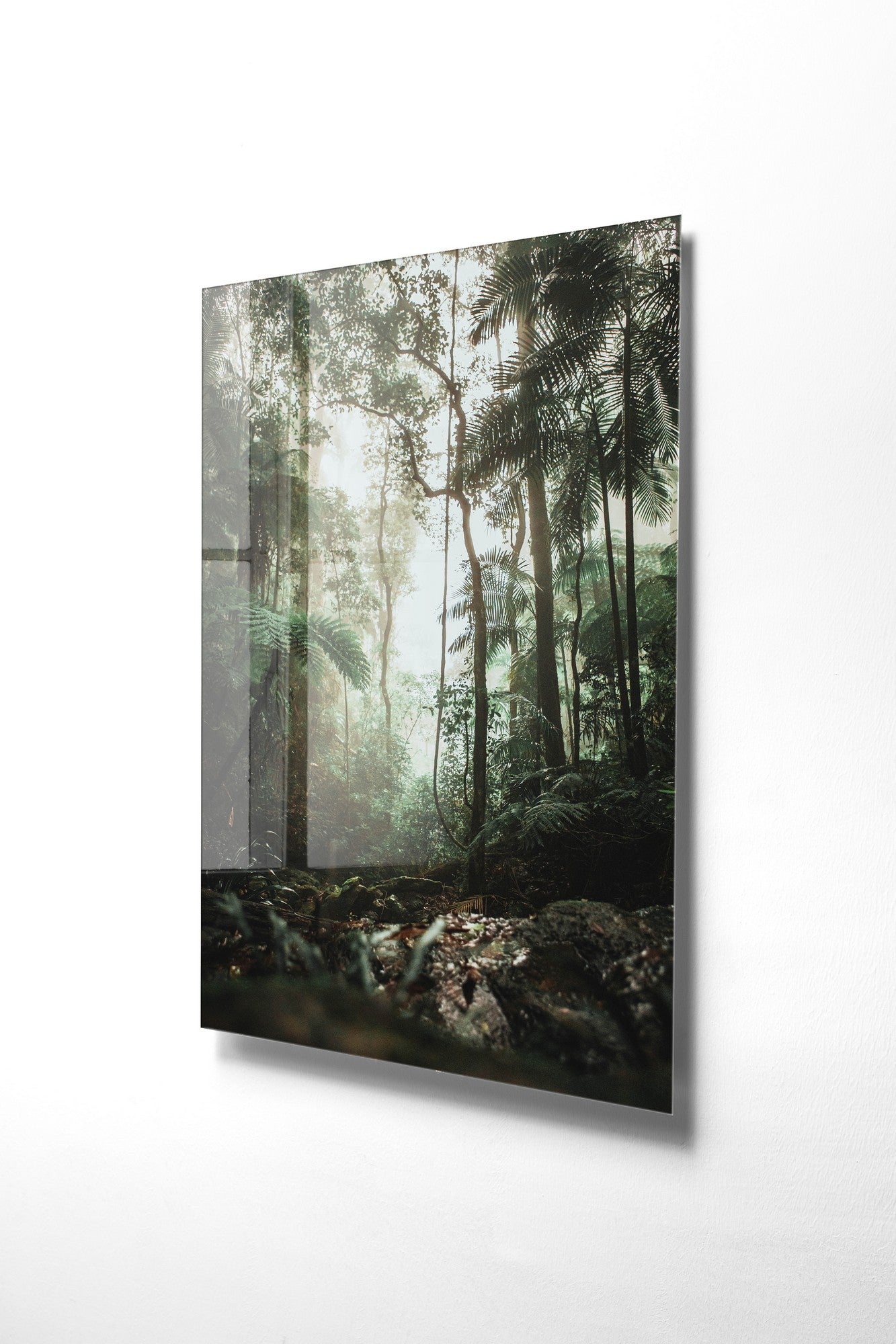 981GLS1249Tribo Home