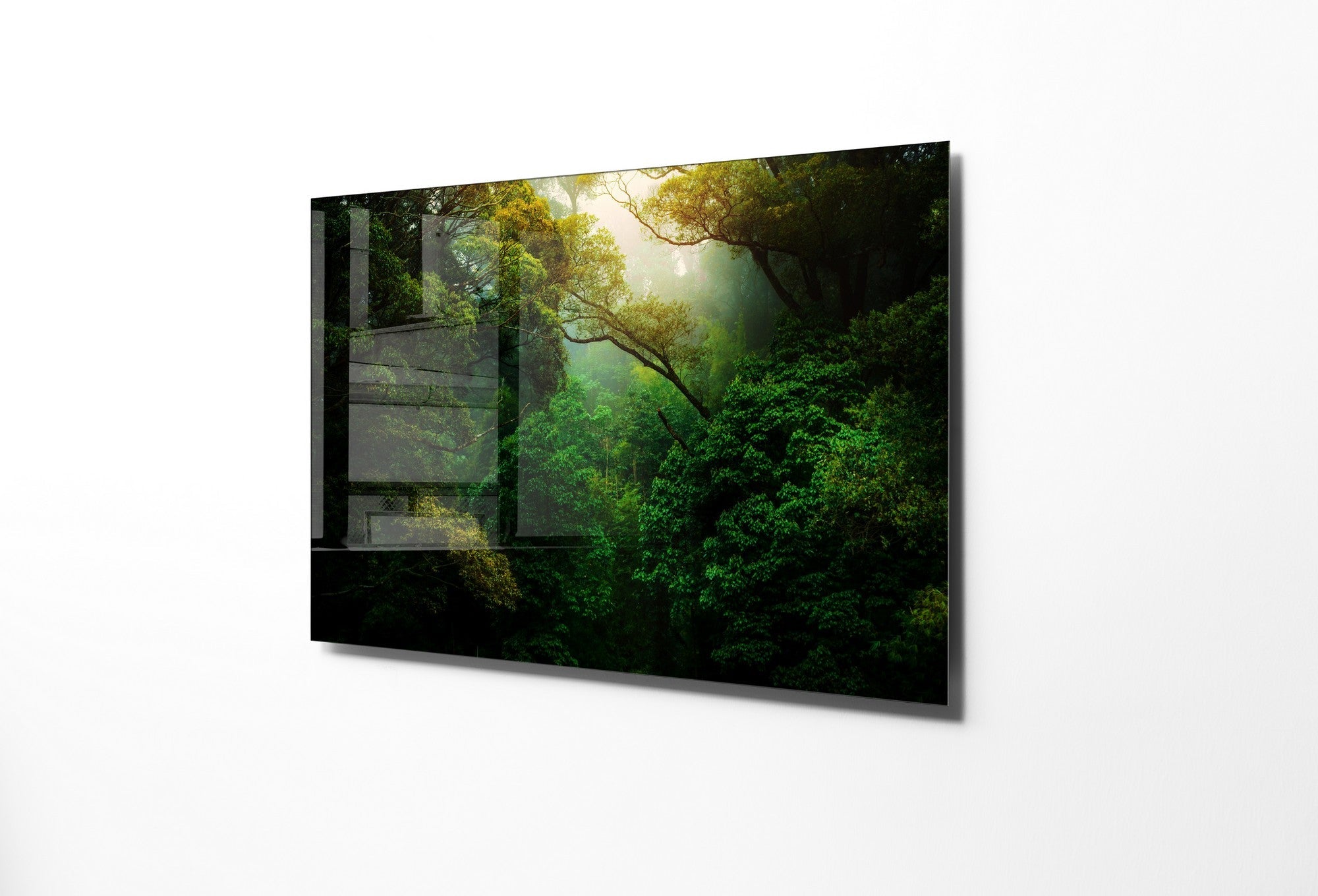 981GLS1253Tribo Home