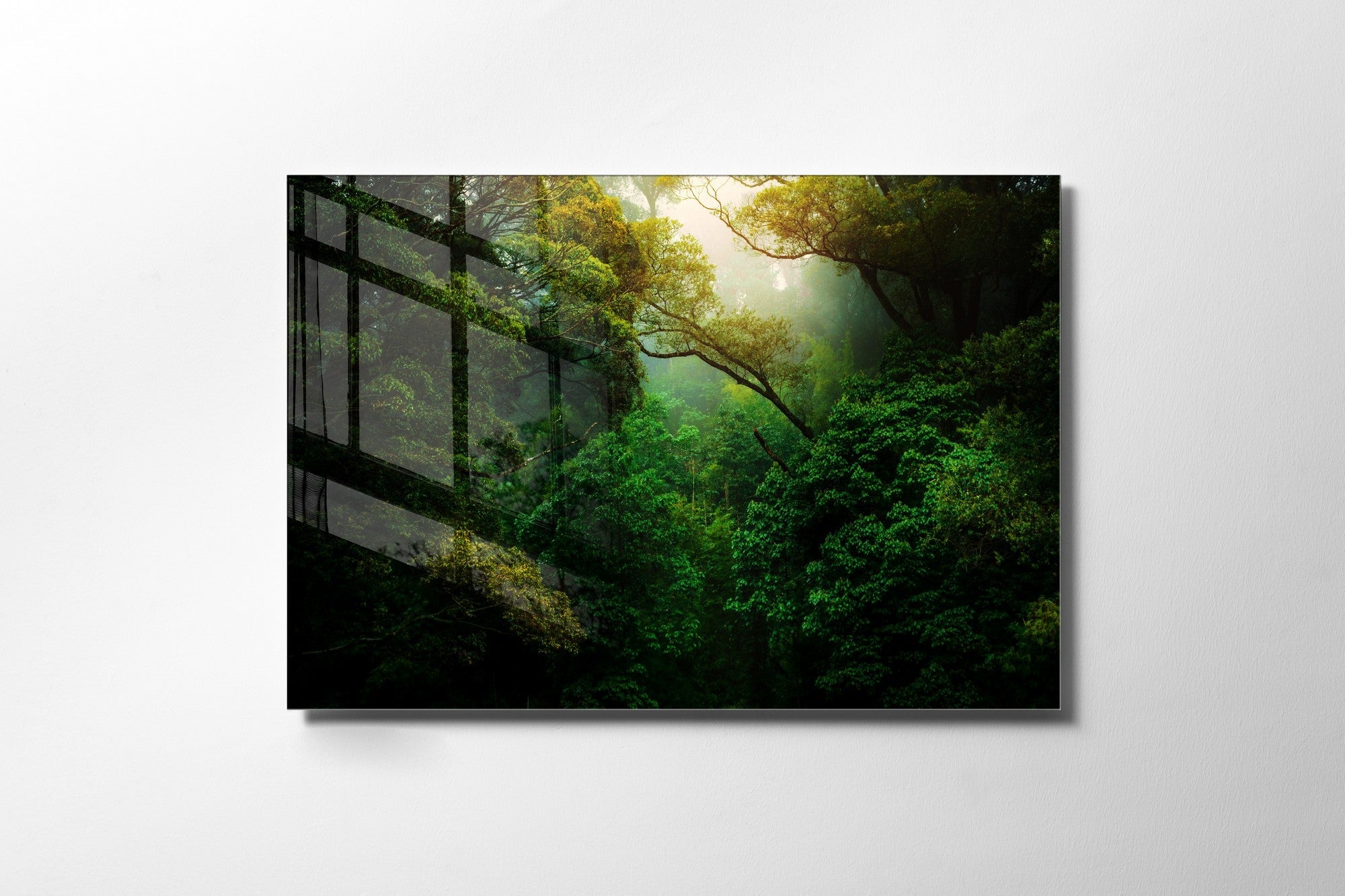 981GLS1254Tribo Home