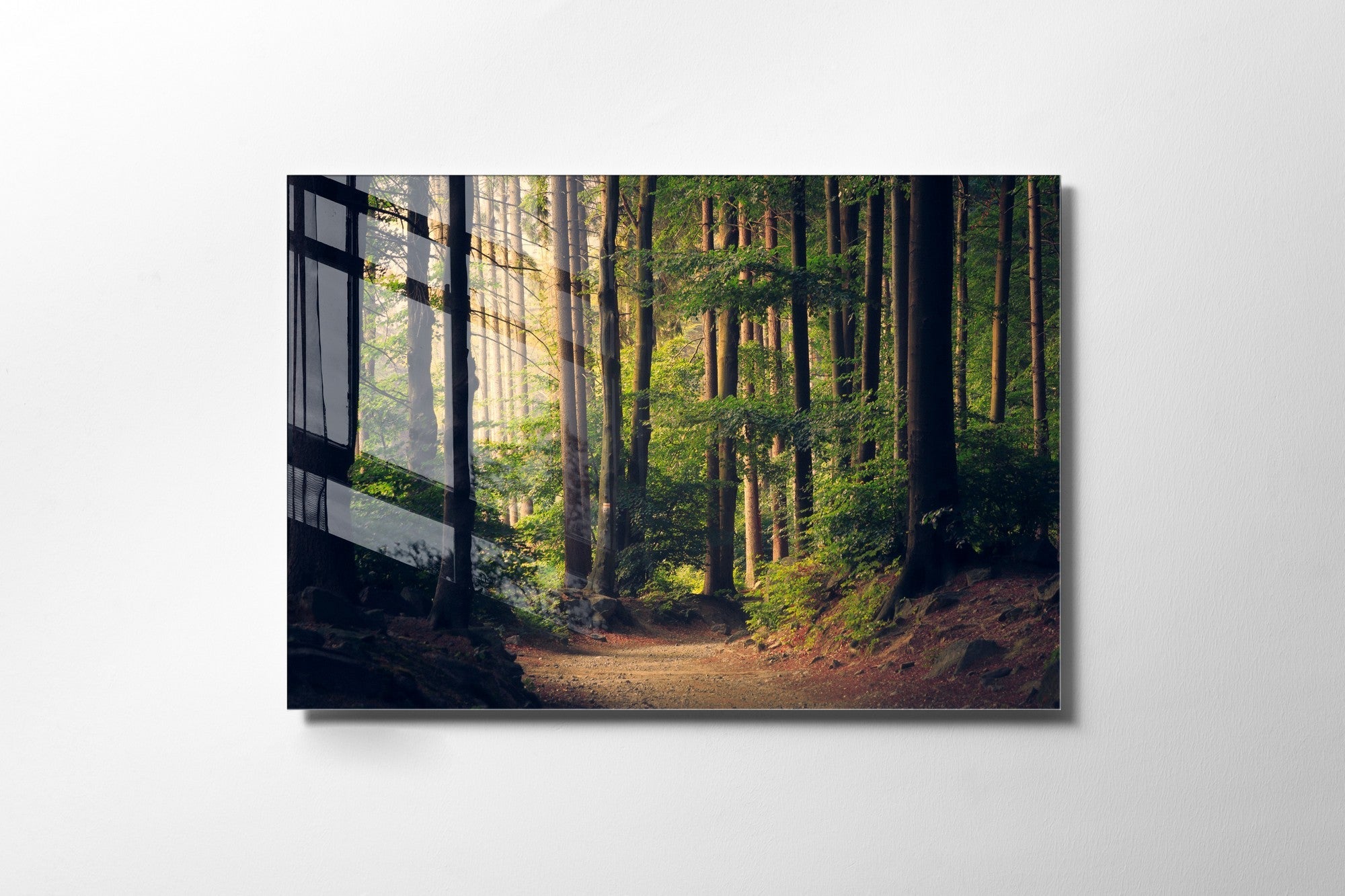 981GLS1257Tribo Home