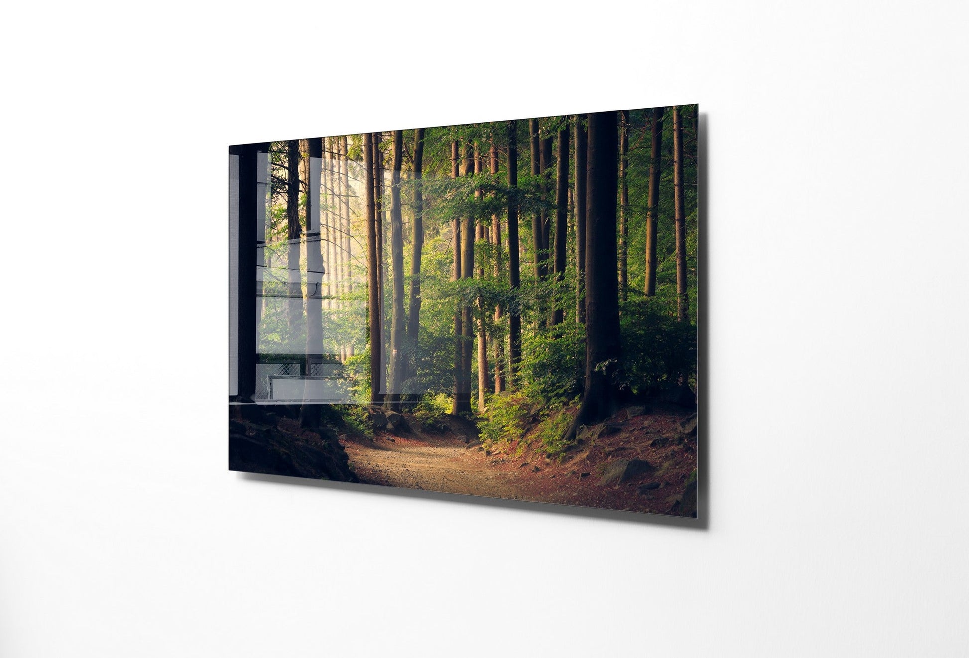 981GLS1259Tribo Home