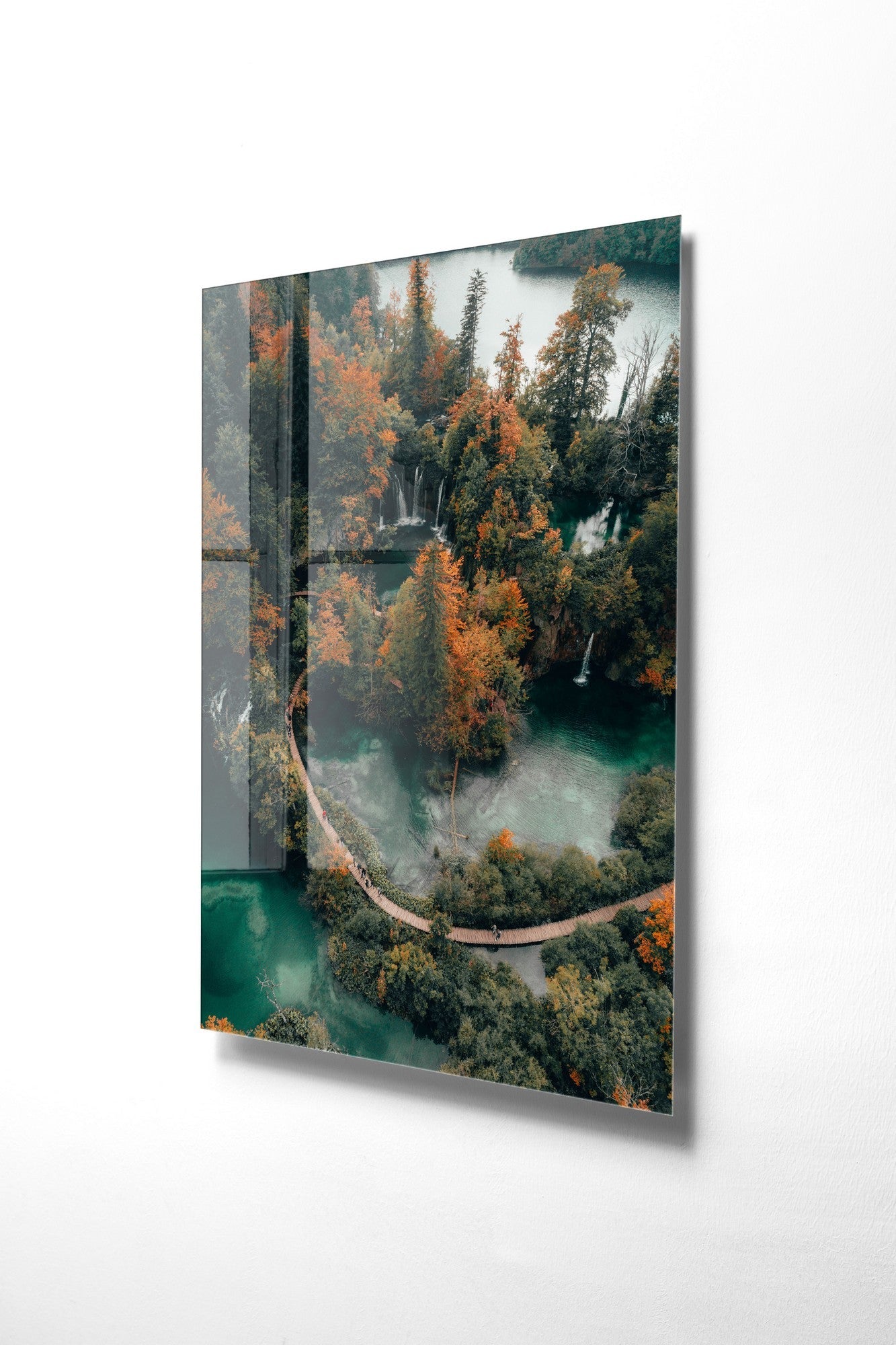 981GLS1261Tribo Home