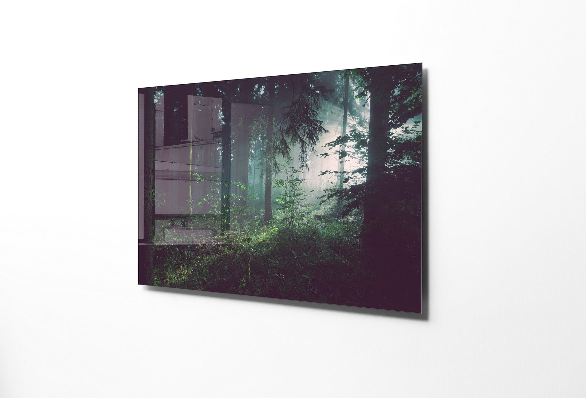 981GLS1267Tribo Home