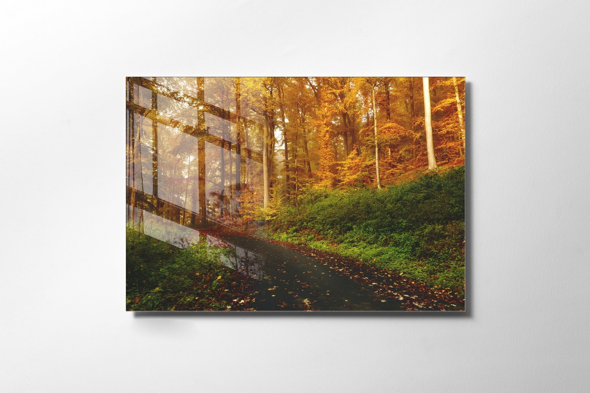 981GLS1269Tribo Home