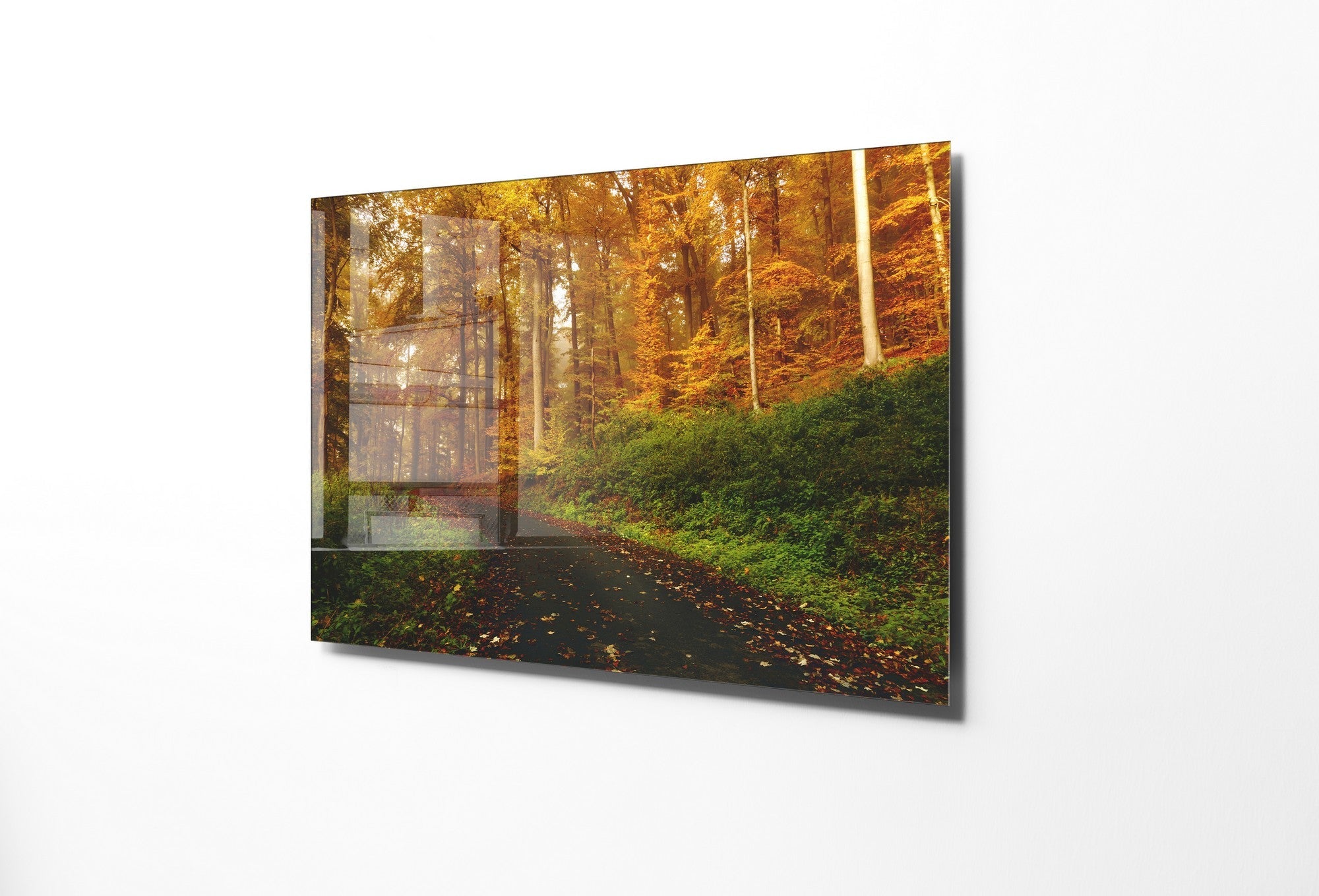 981GLS1271Tribo Home