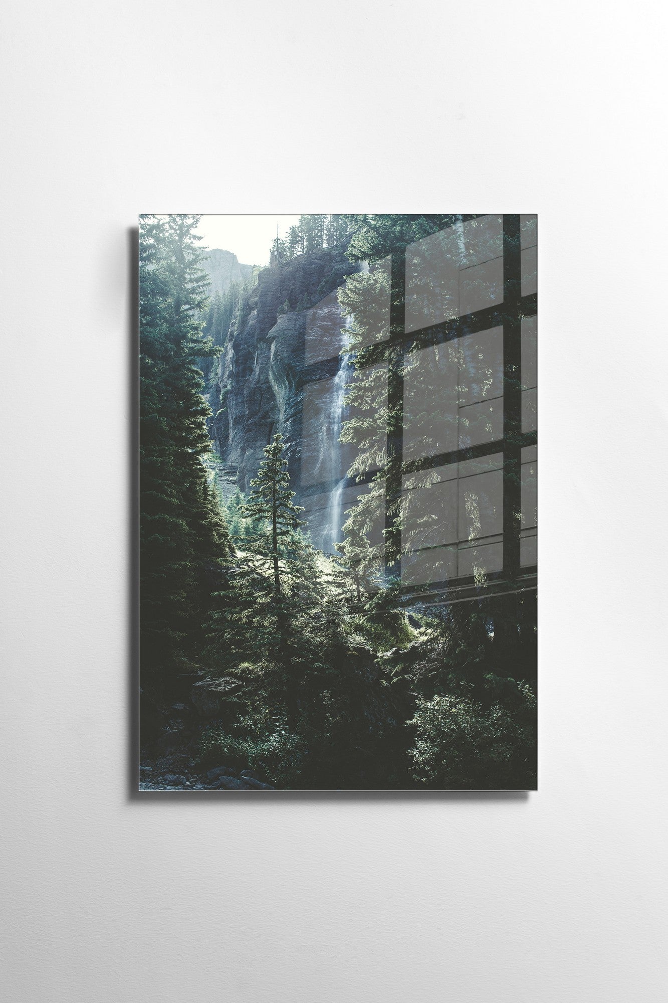 981GLS1274Tribo Home