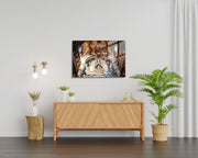 981GLS1281Tribo Home