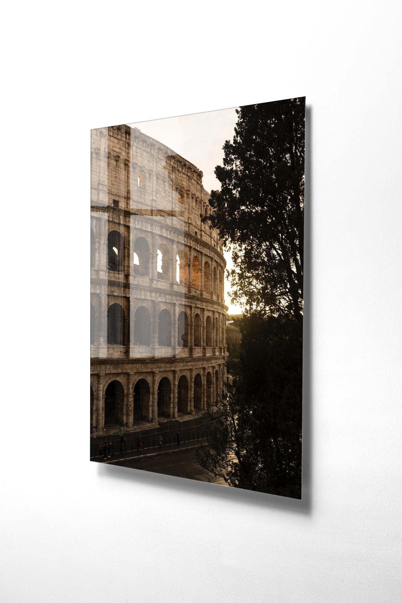 981GLS1316Tribo Home