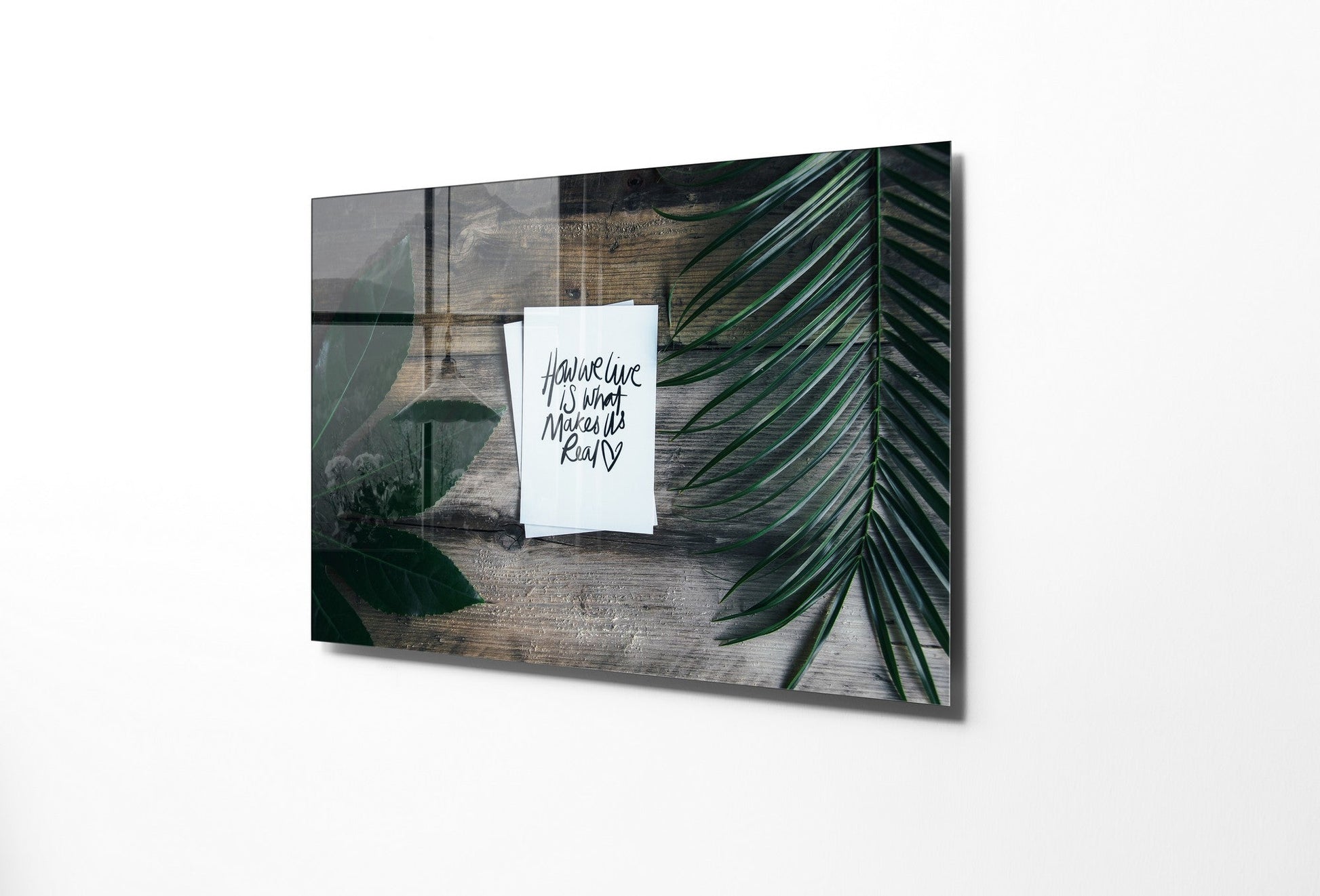 981GLS1466Tribo Home