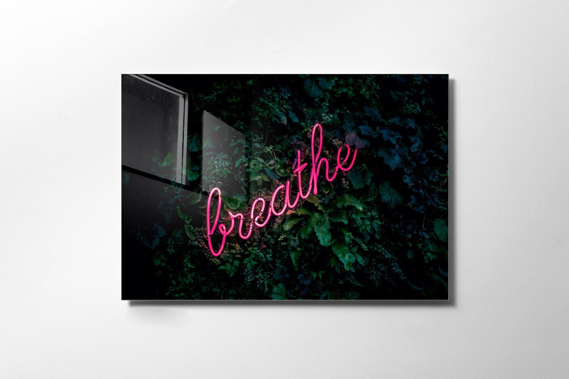 981GLS1524Tribo Home