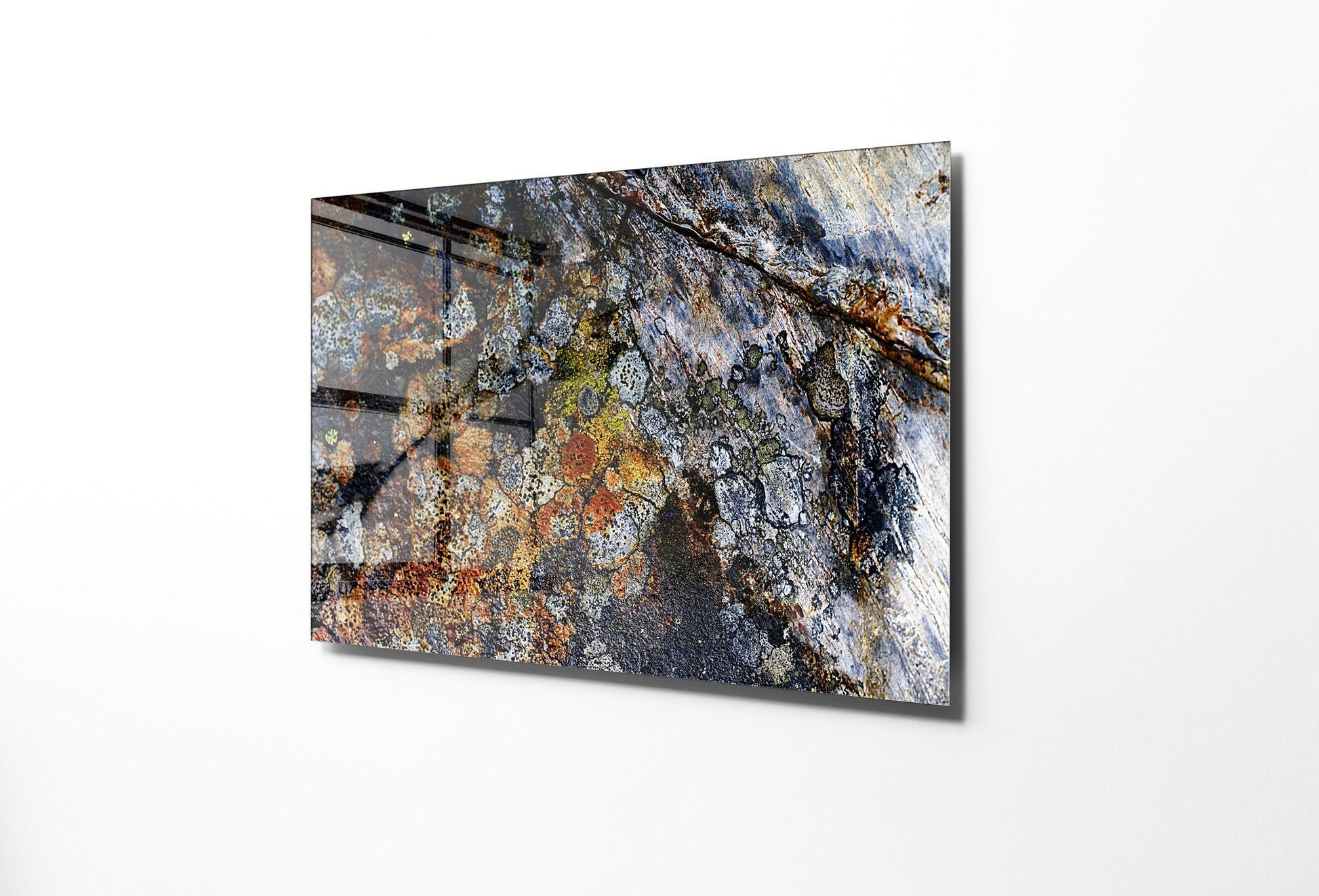 981GLS1606Tribo Home