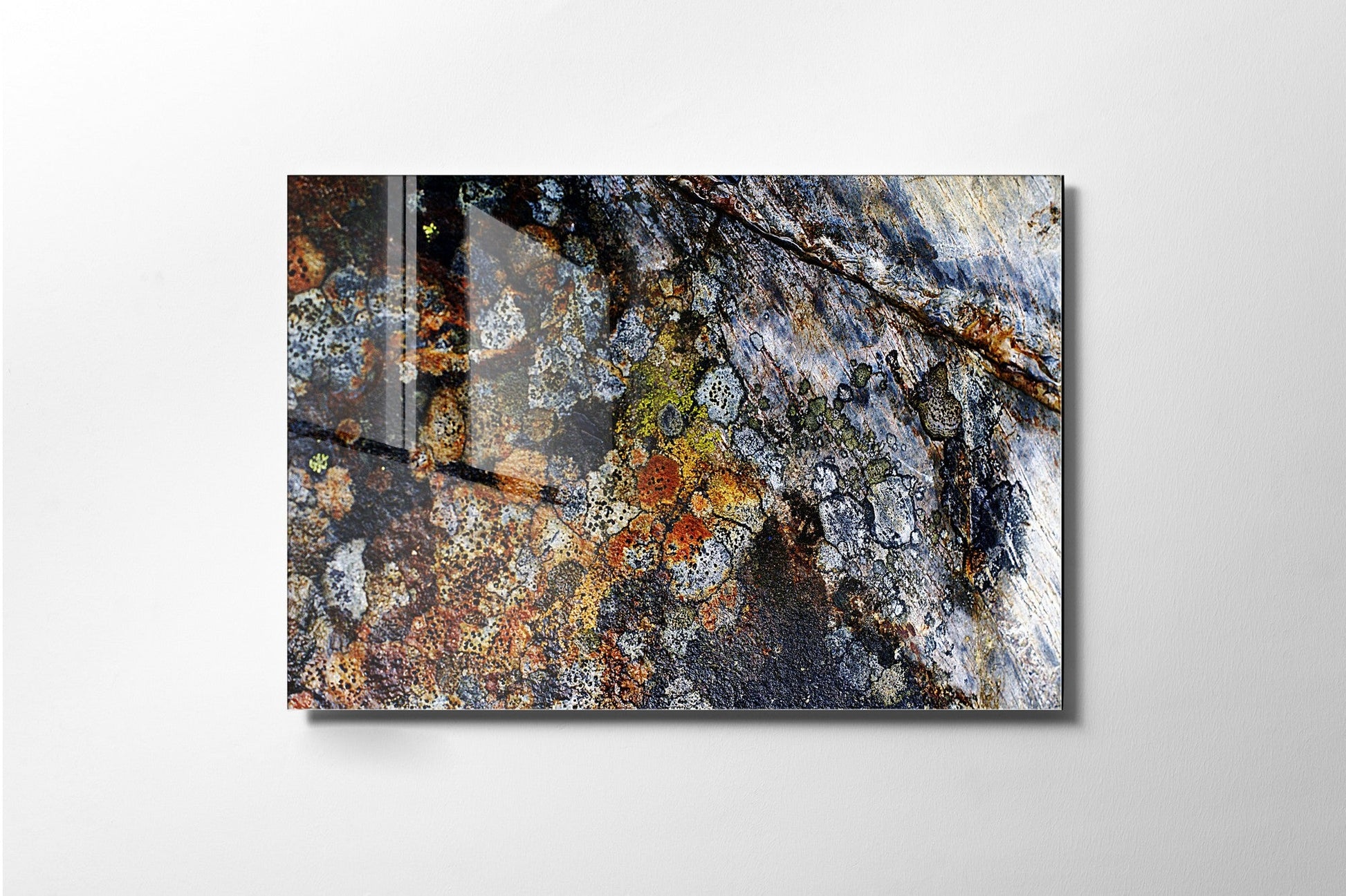 981GLS1608Tribo Home