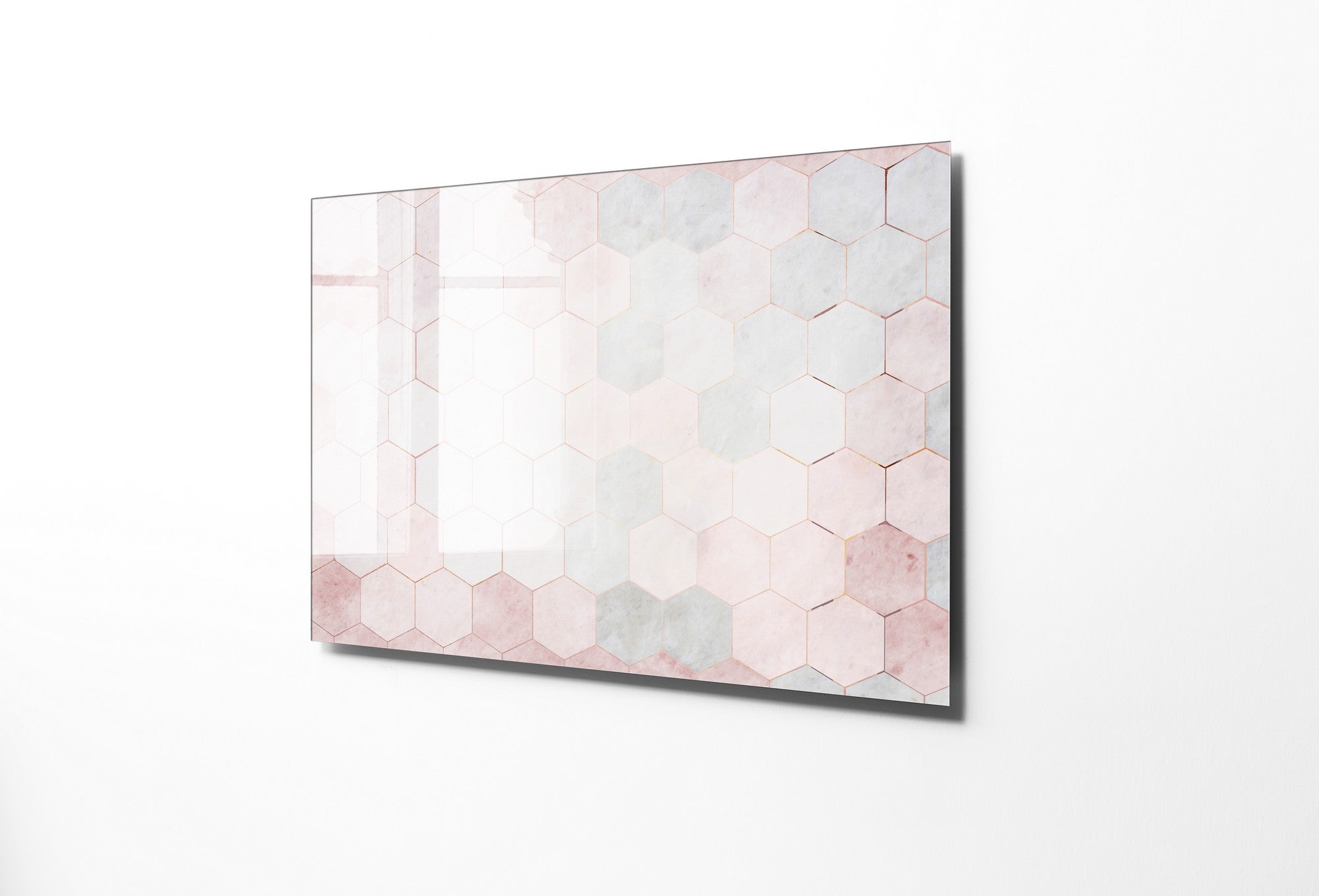 981GLS1649Tribo Home