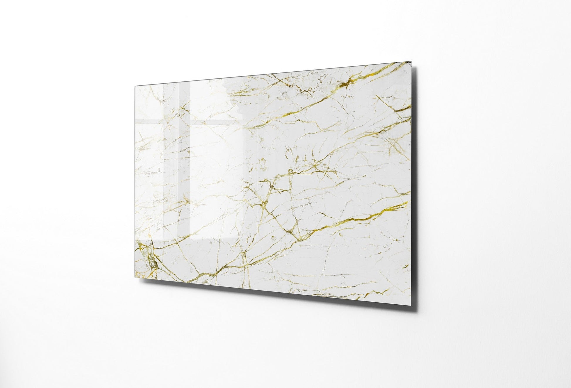 981GLS1678Tribo Home