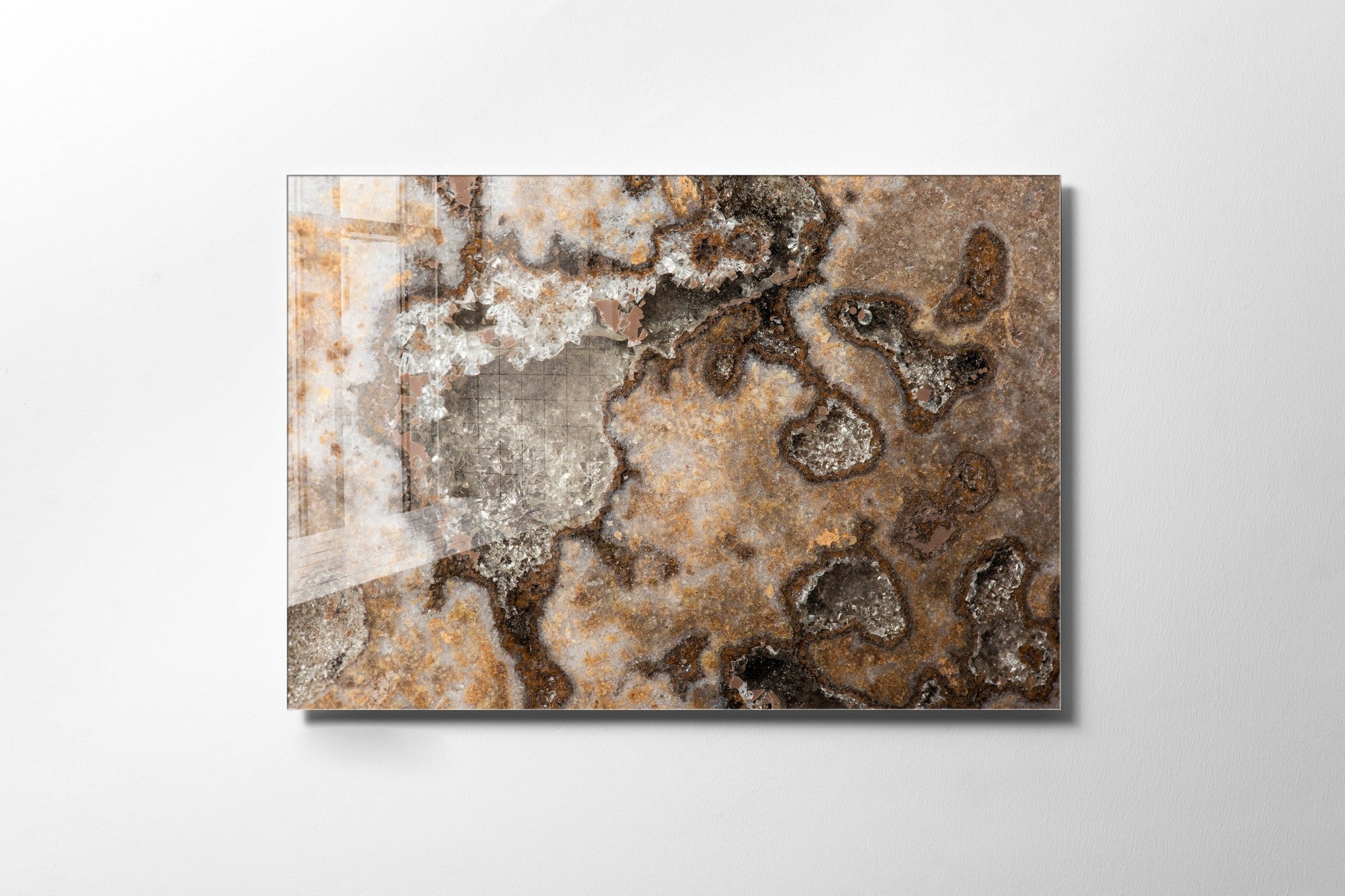 981GLS1690Tribo Home